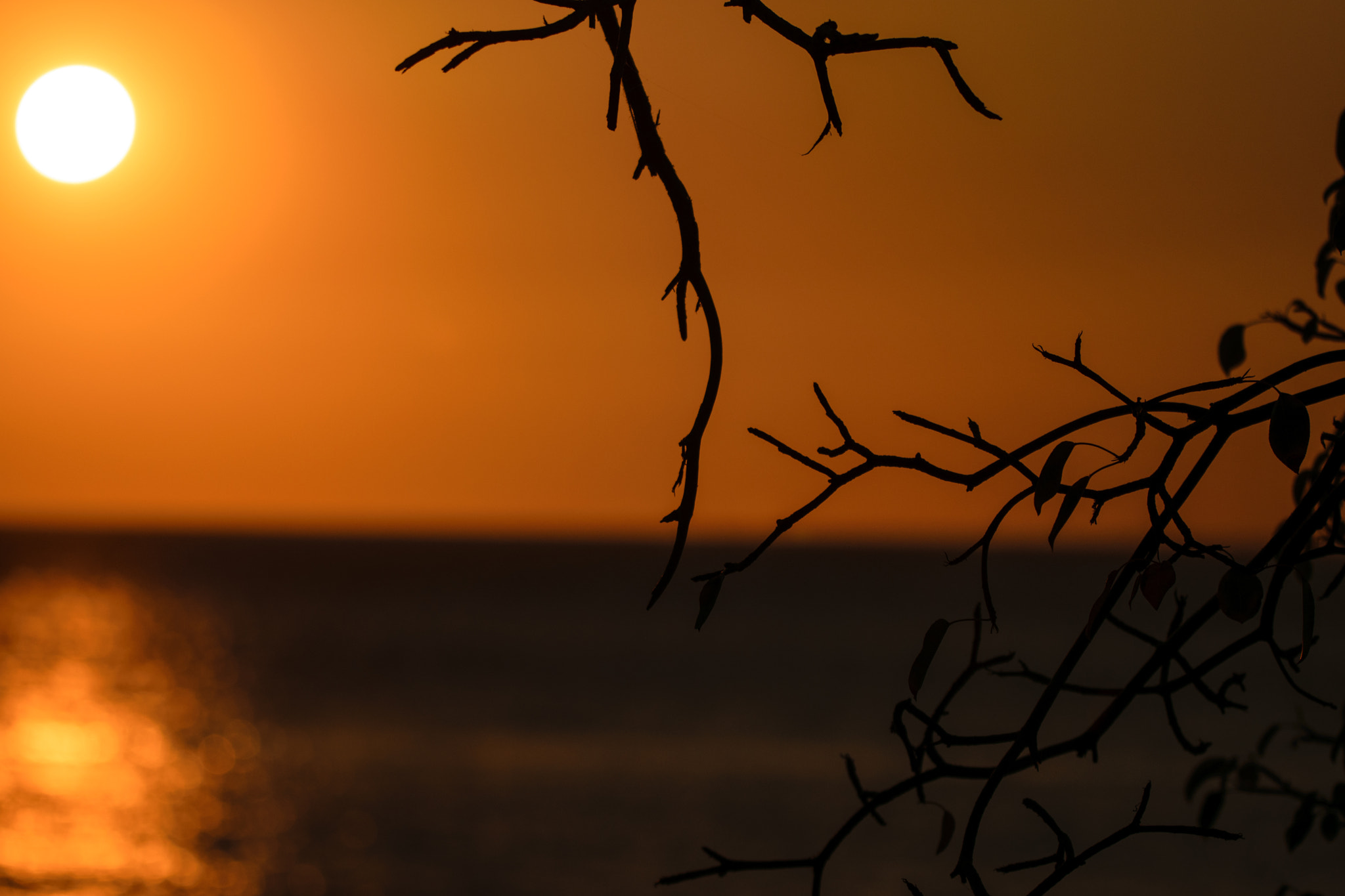 Nikon D3300 sample photo. Sunset beach photography