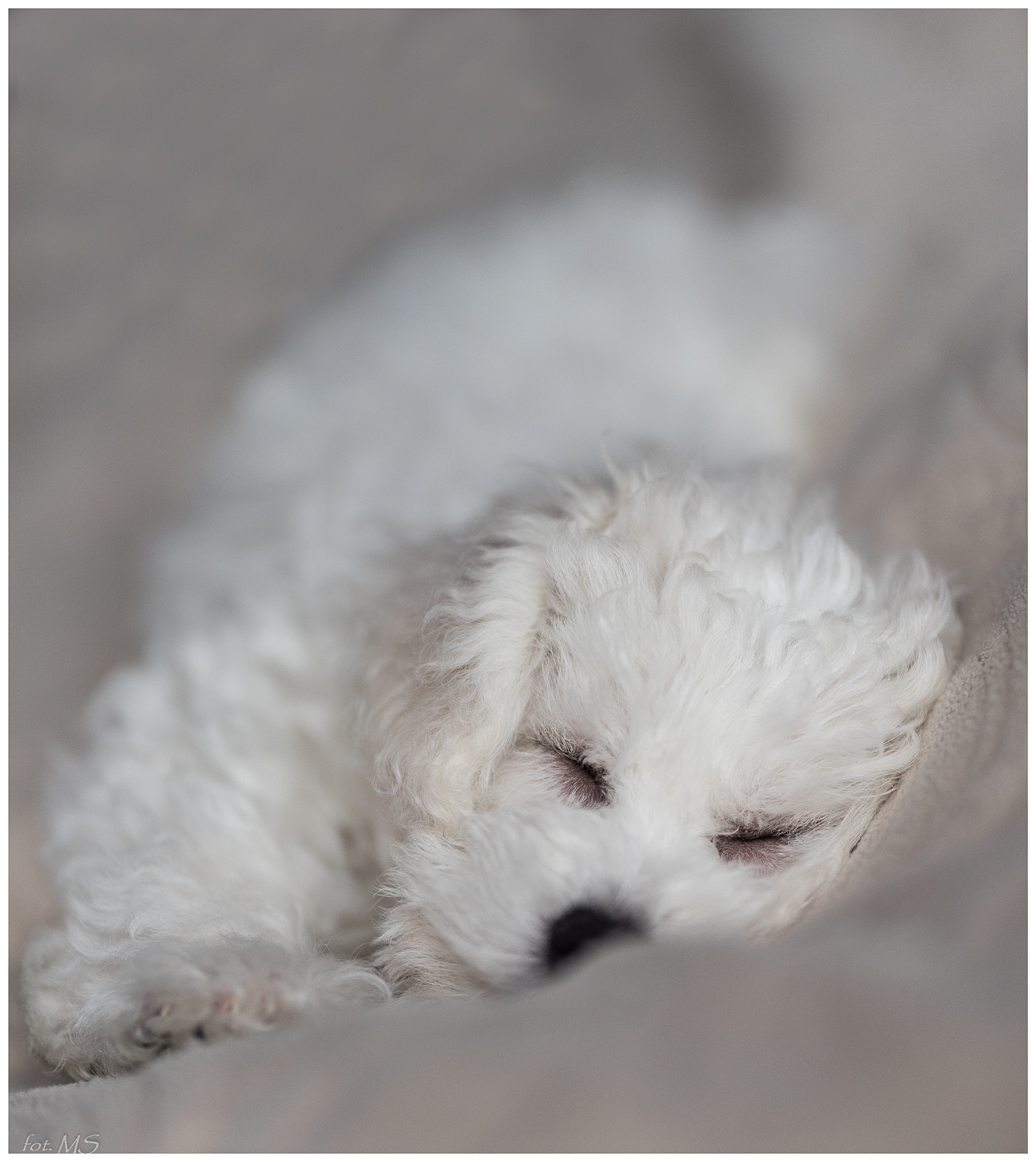 Nikon D750 + Sigma 105mm F2.8 EX DG Macro sample photo. Edit photography