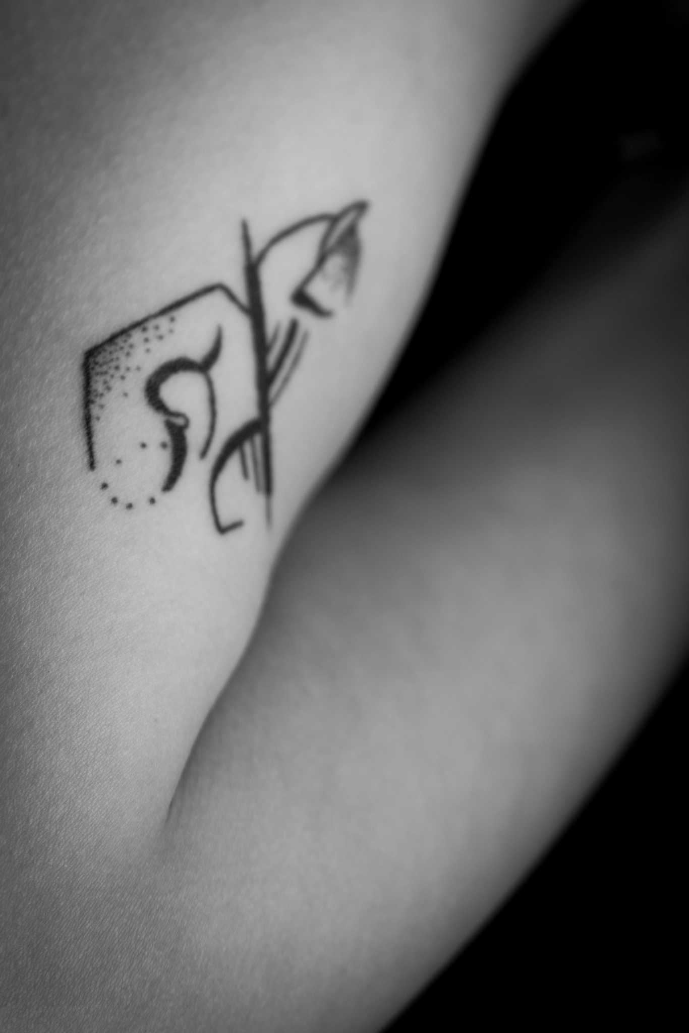 Canon EF 70-300mm F4-5.6 IS USM sample photo. Inked skin photography