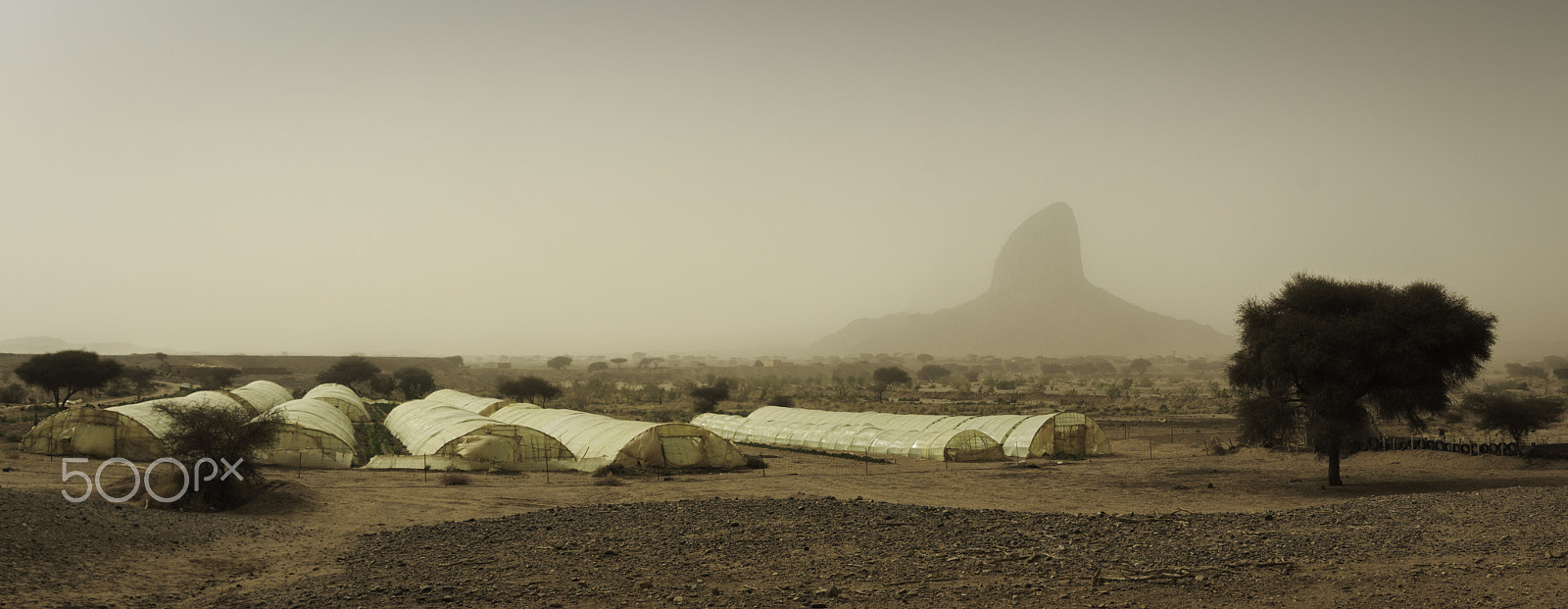 Canon EF-S 17-55mm F2.8 IS USM sample photo. Desert agriculture, tamenrasset algeria photography