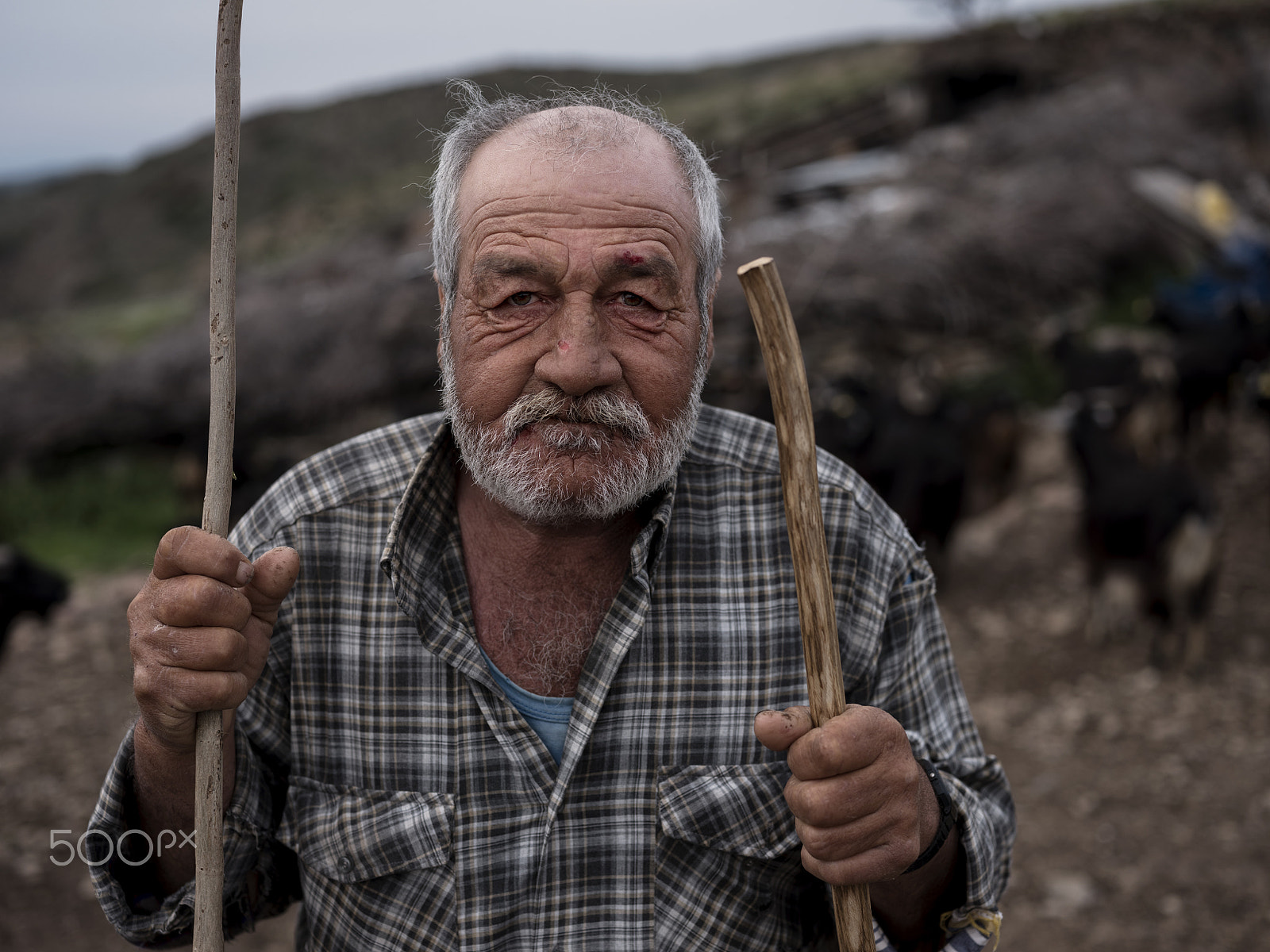 Fujifilm GFX 50S + Fujifilm GF 63mm F2.8 R WR sample photo. Karaburun yörükleri i photography