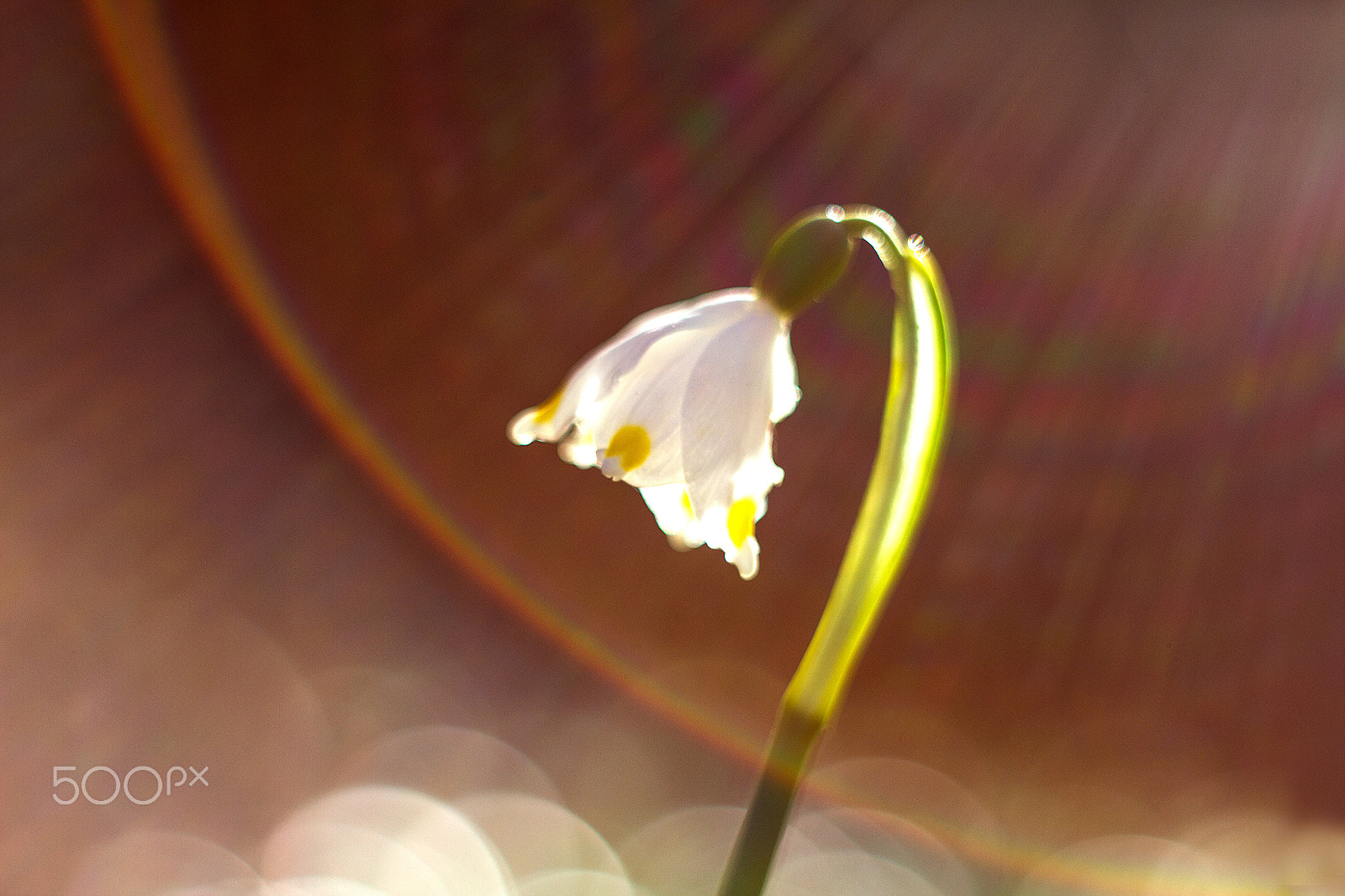 Canon EF 35-80mm f/4-5.6 sample photo. ...bledule... photography