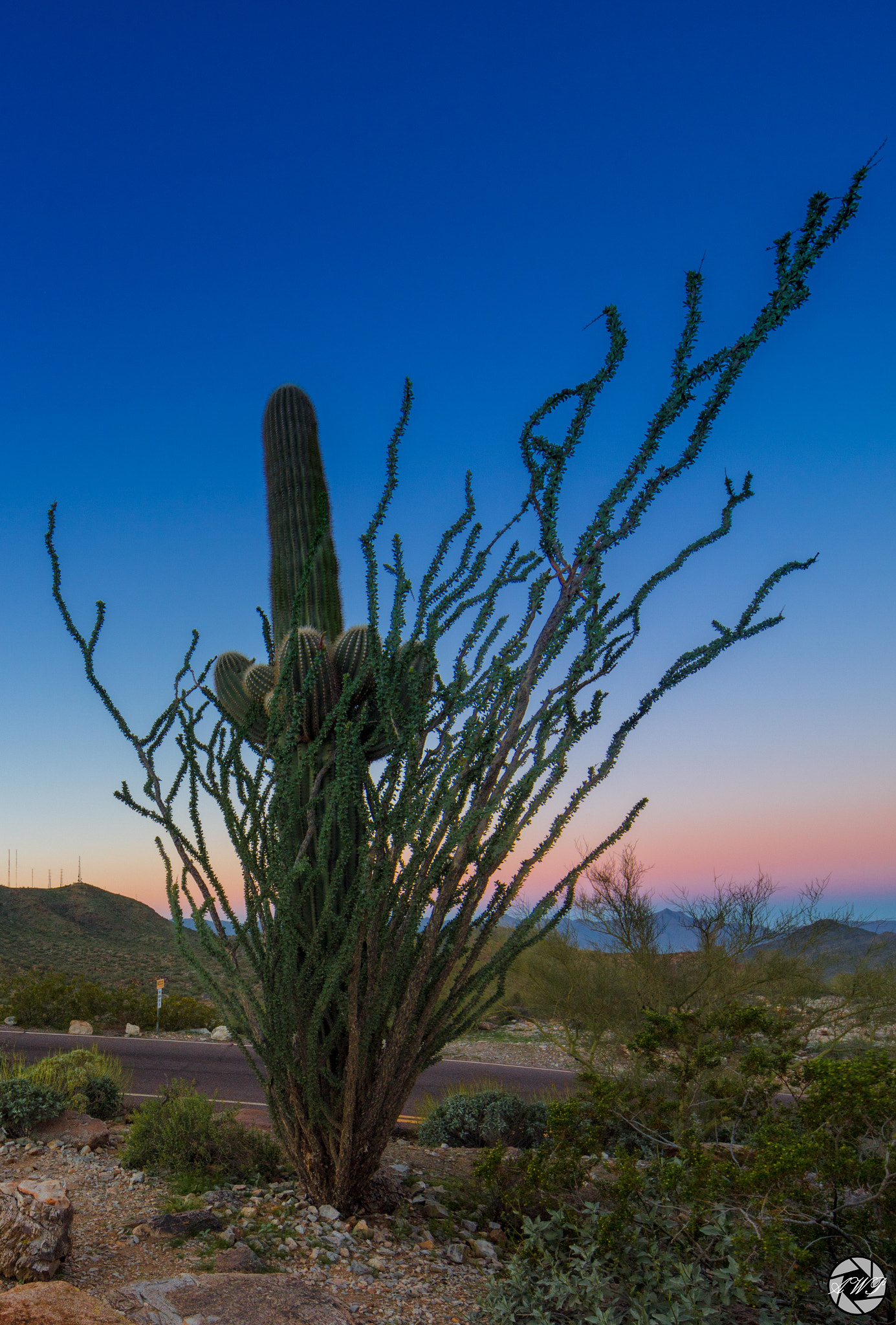 Canon EOS 5DS sample photo. South mountain park, phoenix az. thoughts on composition ? photography