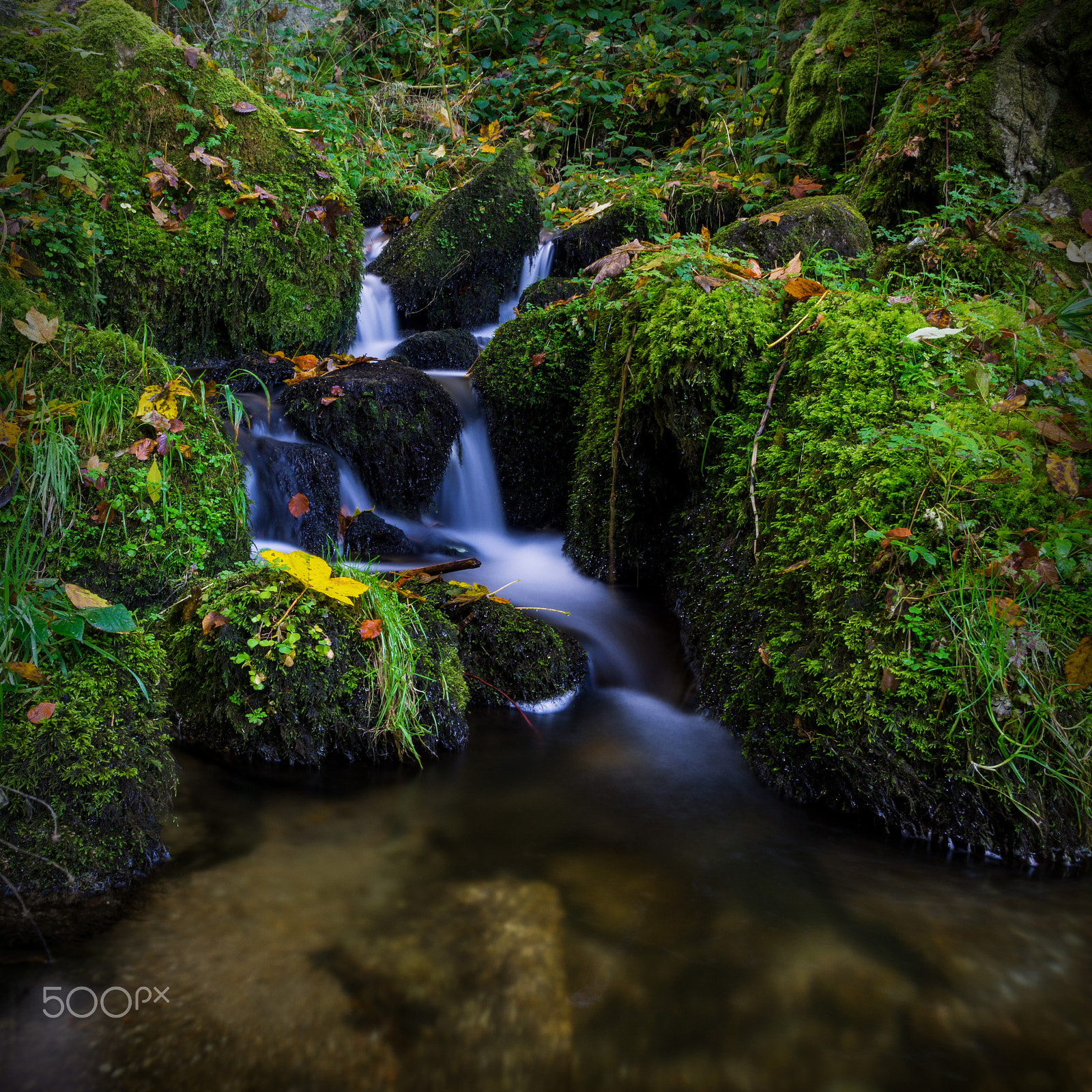 Sony a6000 + Sigma 19mm F2.8 EX DN sample photo. Wasserfall photography