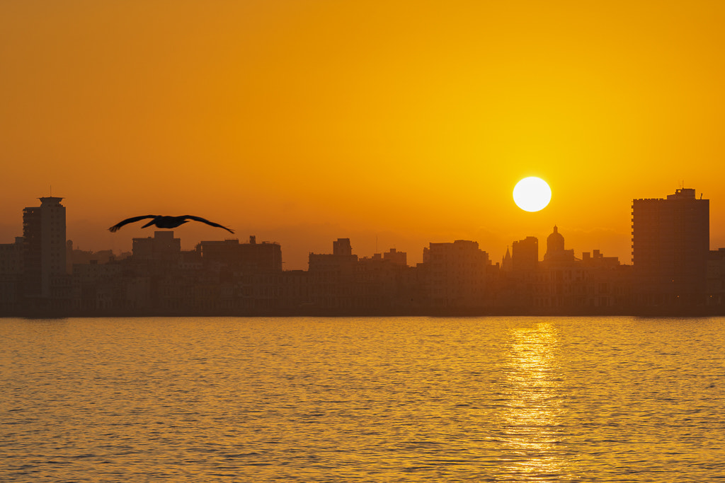 Sony a7R sample photo. Flying with the sunrise photography