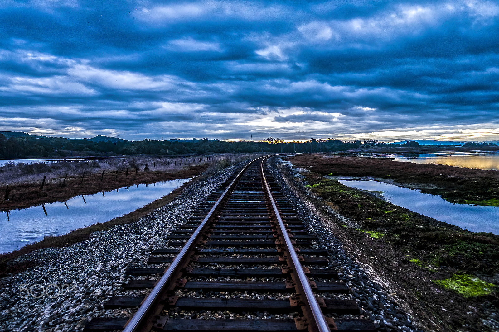 Fujifilm X-T1 sample photo. Down the tracks at elkhorn slough on a cloudy day photography