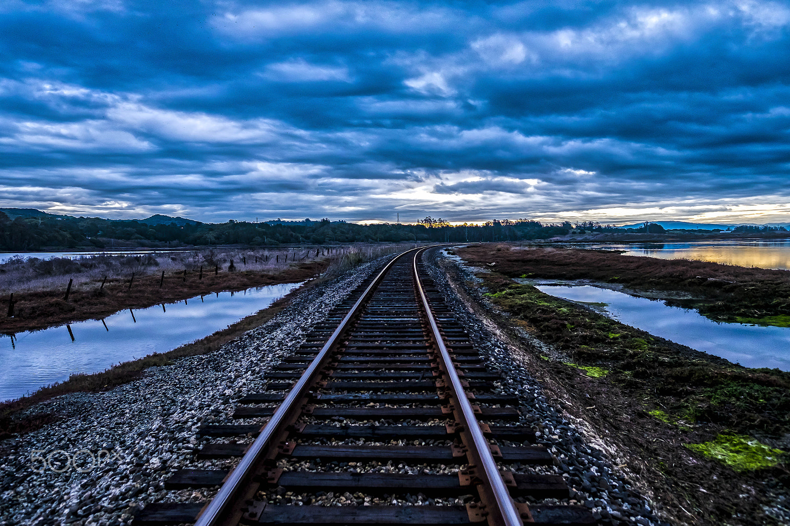 Fujifilm XF 16mm F1.4 R WR sample photo. Down the tracks at elkhorn slough on a cloudy day photography