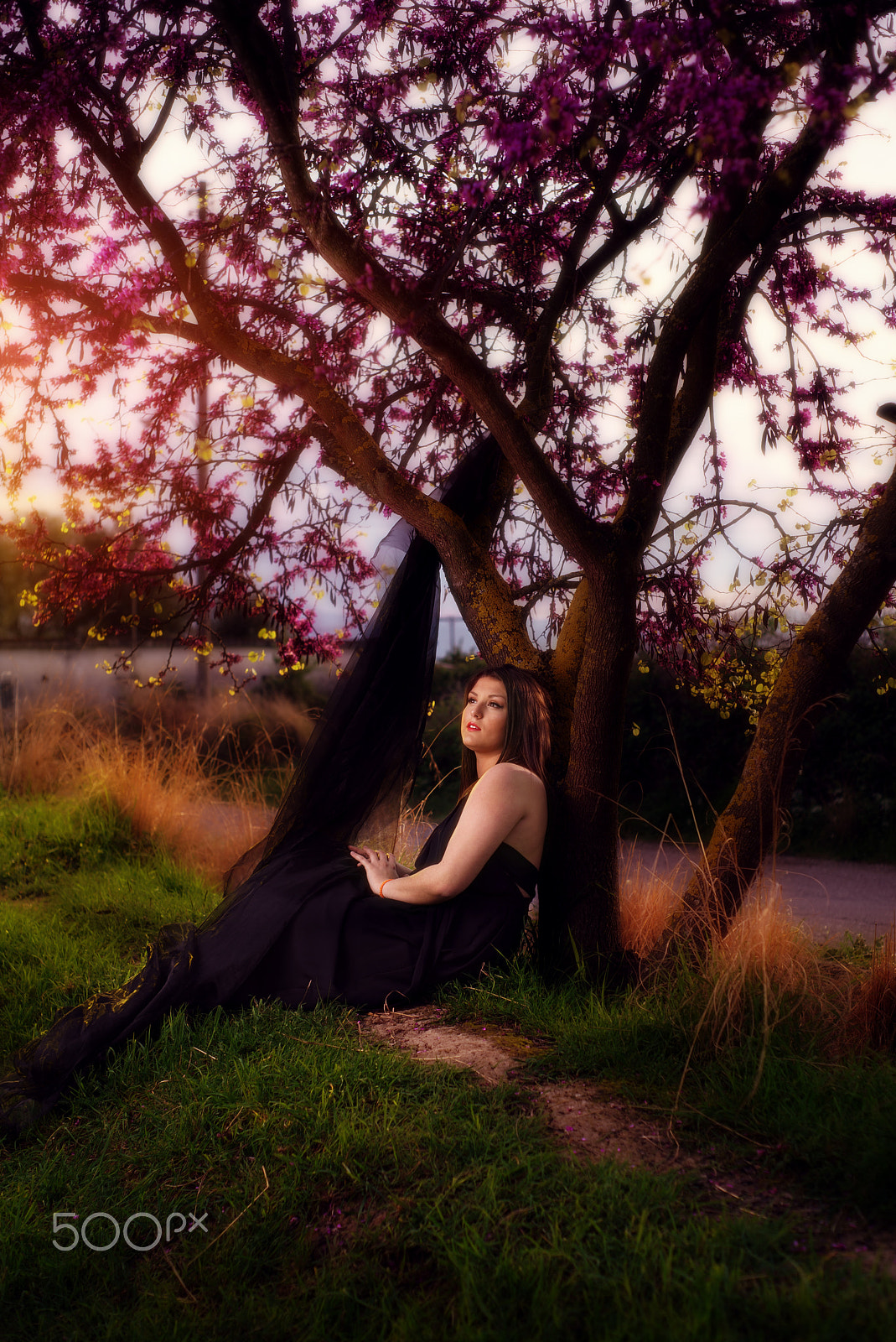 Sony a7S + Minolta AF 50mm F1.7 sample photo. Under the tree photography