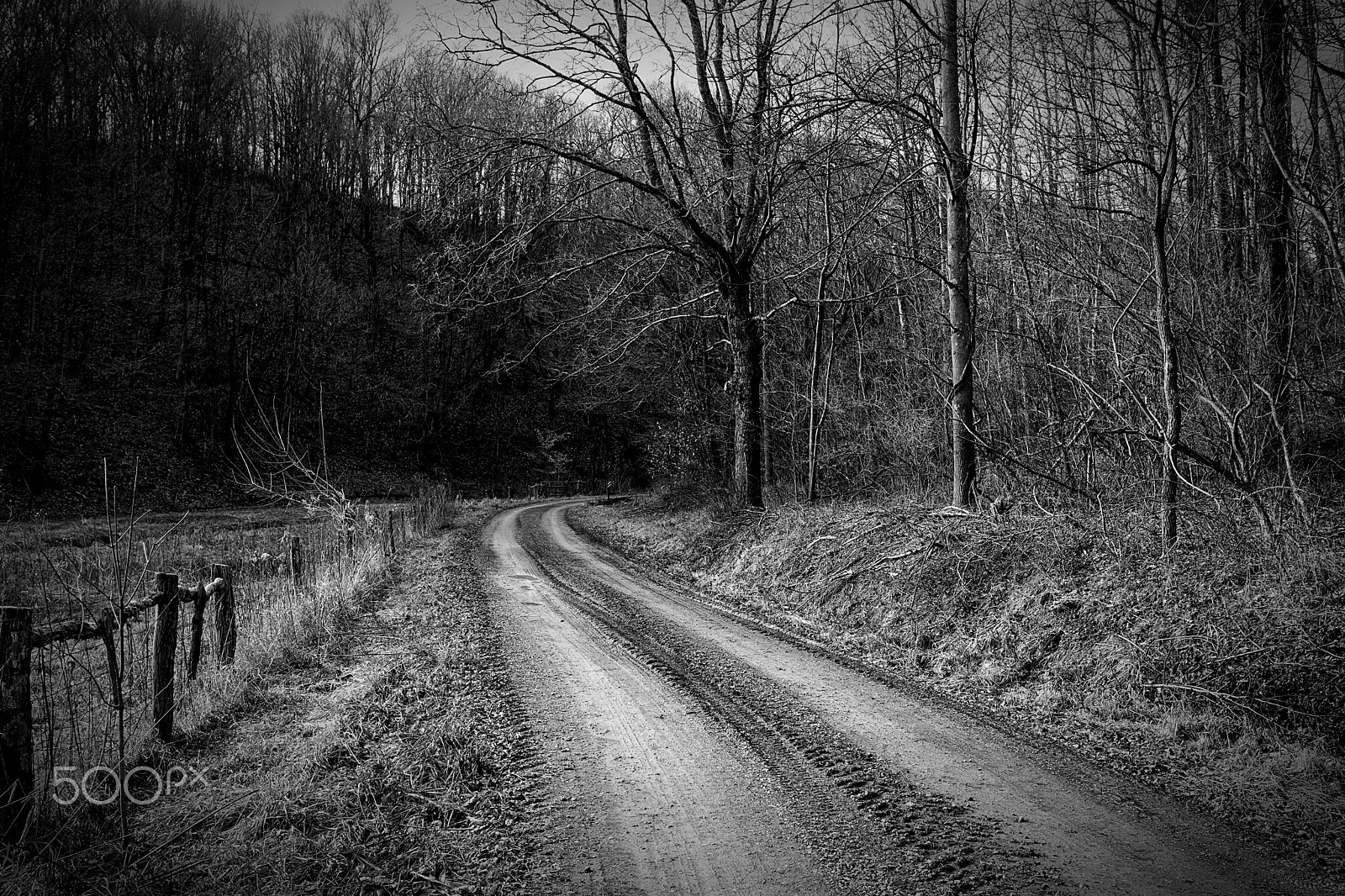 Nikon D7100 sample photo. Country roads photography