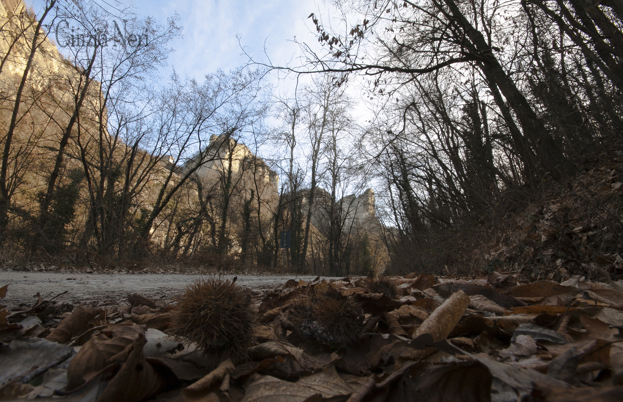 Canon EOS 50D + Sigma 10-20mm F4-5.6 EX DC HSM sample photo. Sassi di roccamalatina photography