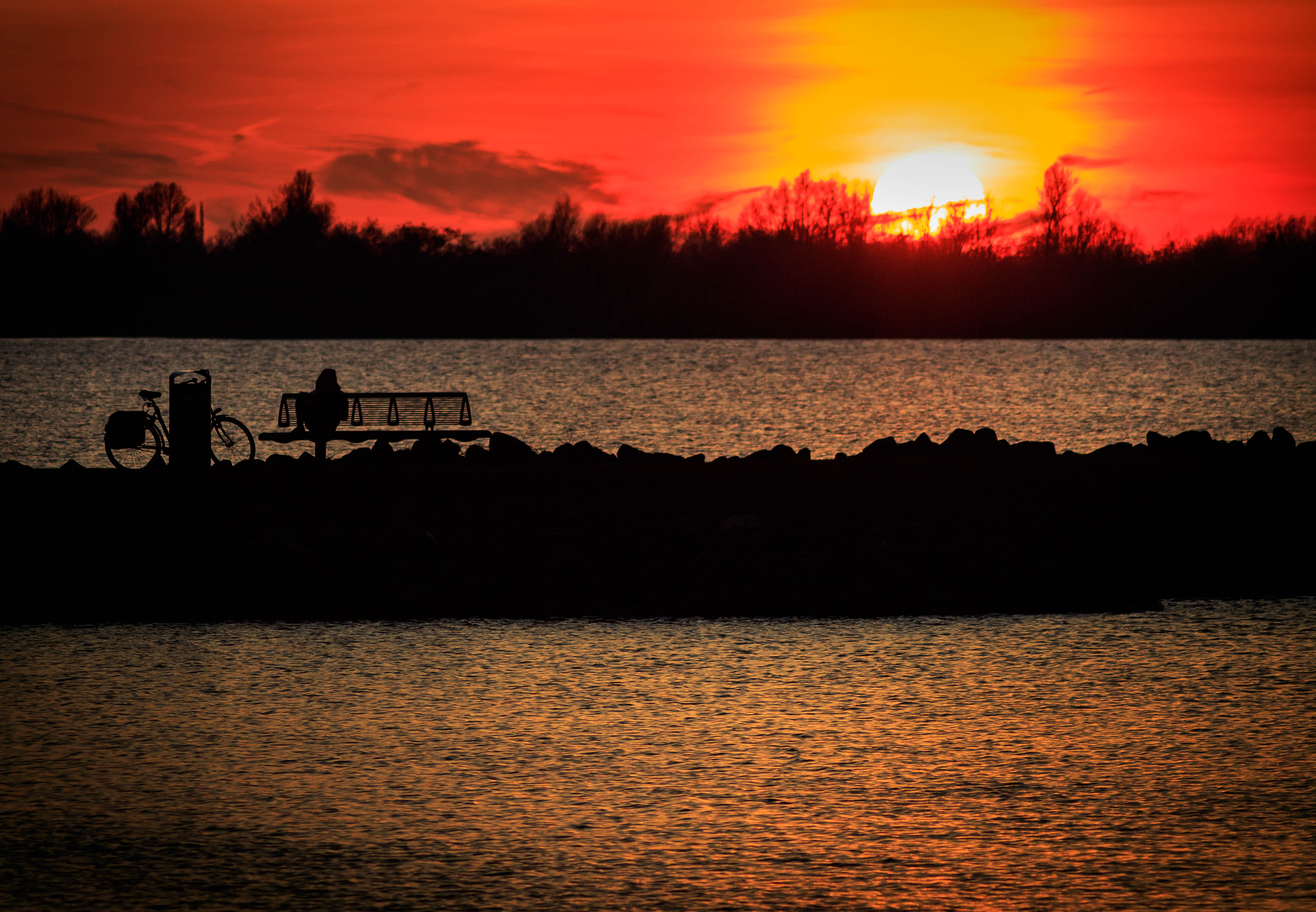 Canon EOS 1300D (EOS Rebel T6 / EOS Kiss X80) sample photo. Watching sunset at aalsmeer photography