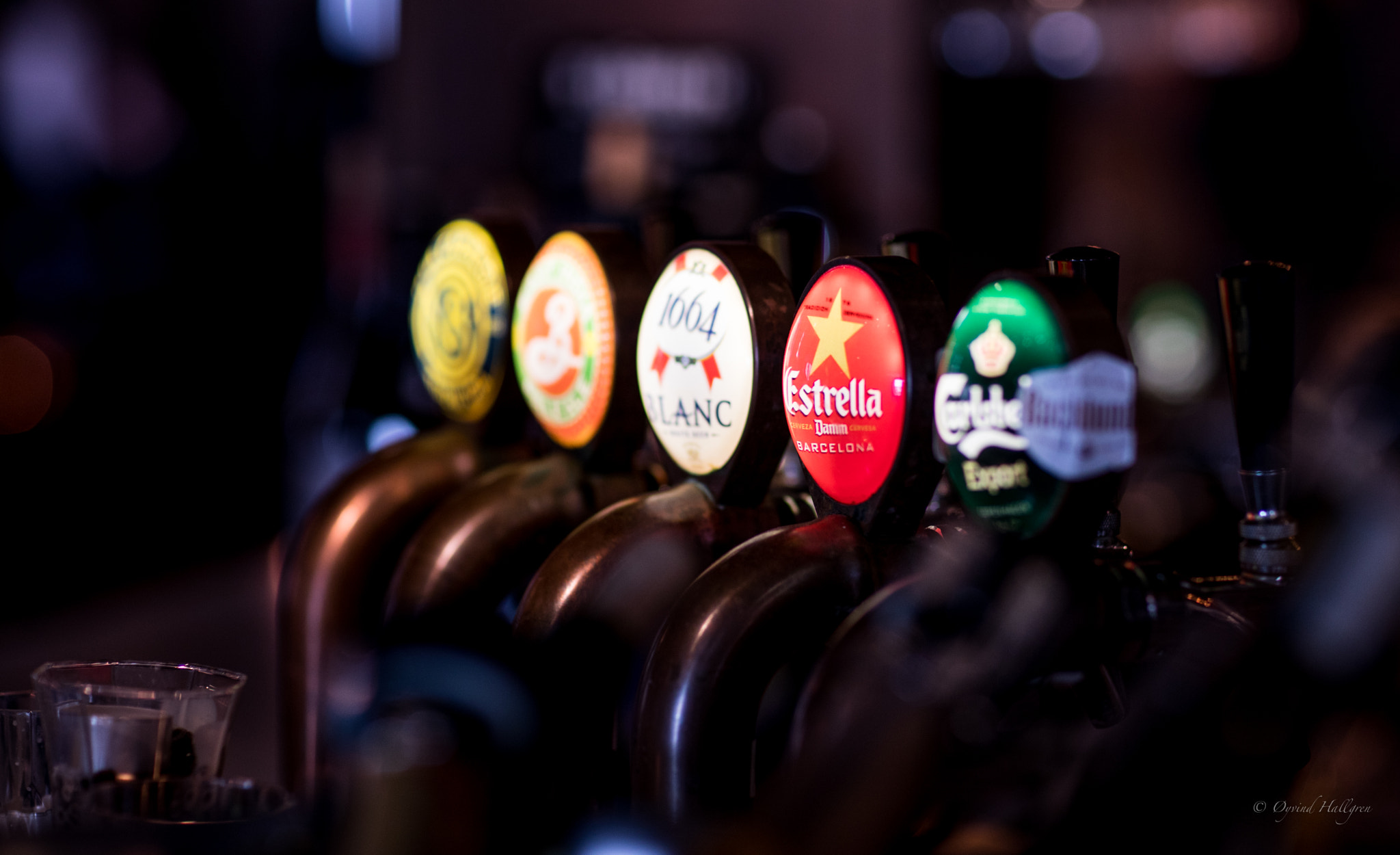 Canon EF 85mm F1.2L II USM sample photo. Estrella photography