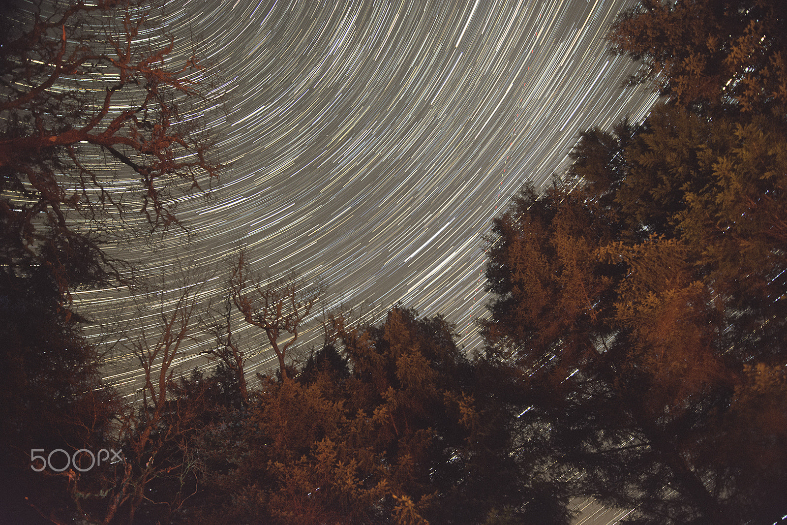 Tokina AT-X 11-20 F2.8 PRO DX (AF 11-20mm f/2.8) sample photo. Innis chonnell star trails photography