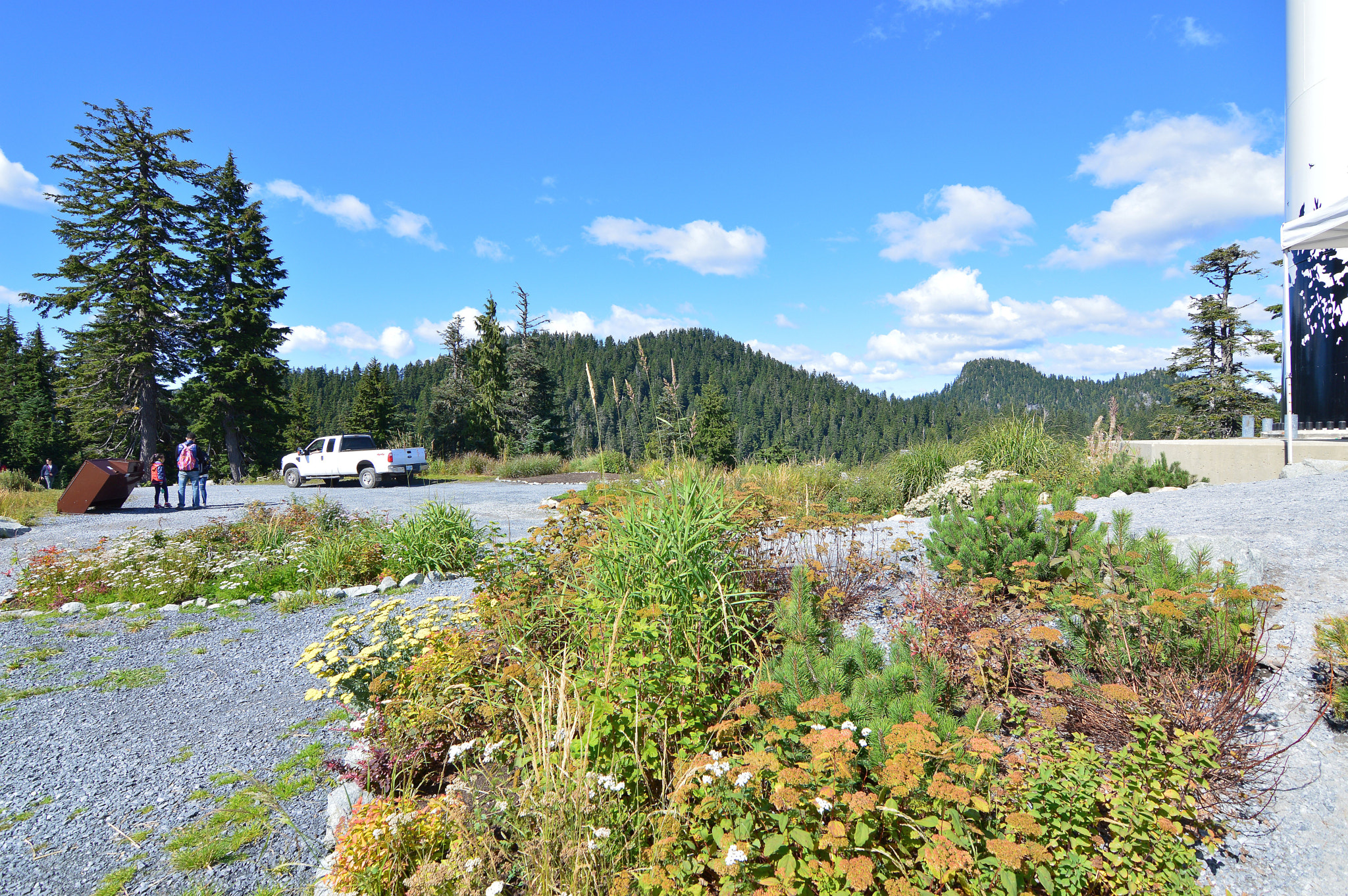Nikon D3200 sample photo. Vancouver grouse mountain photography