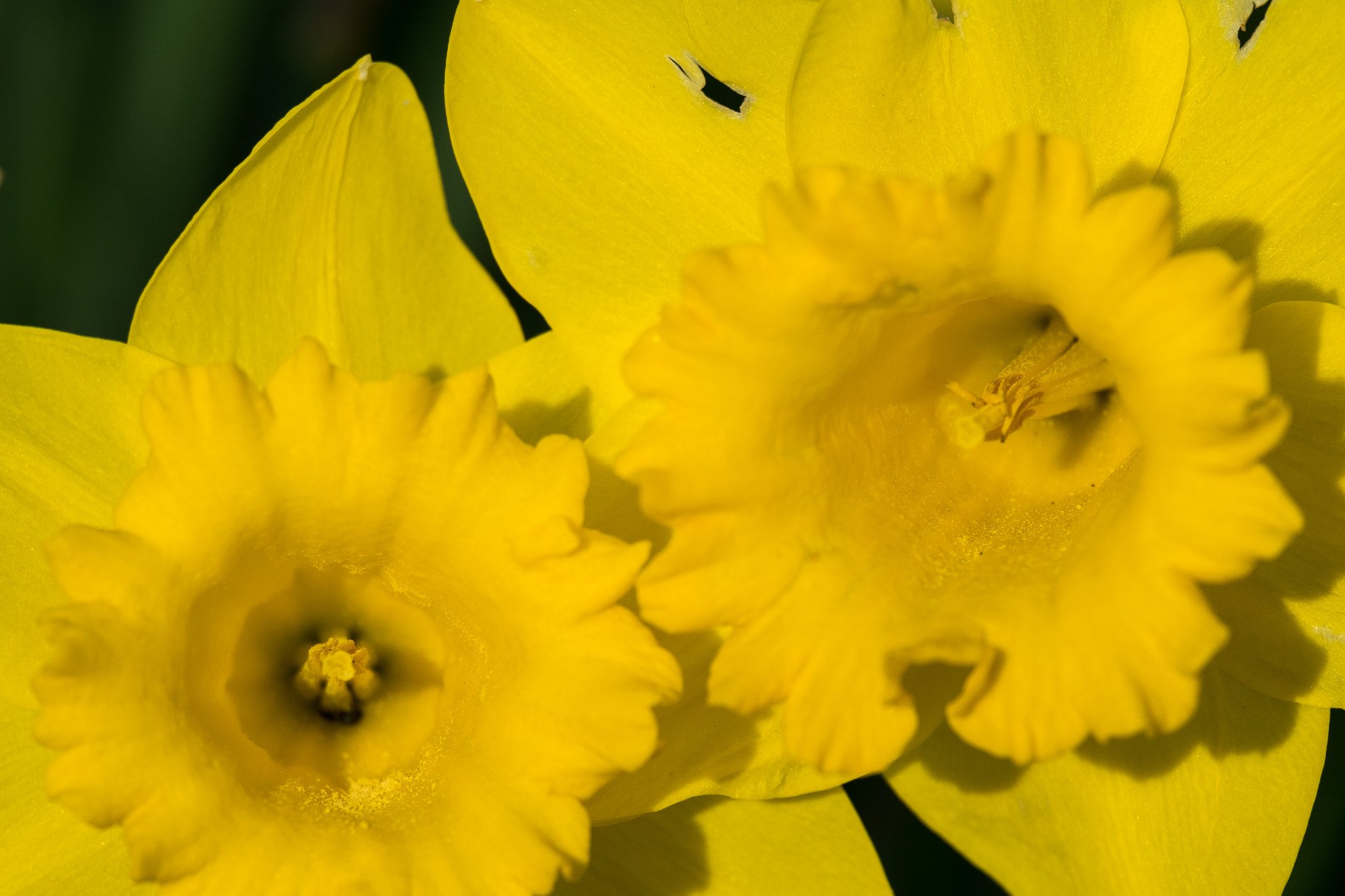 Fujifilm X-M1 sample photo. Colours of spring photography