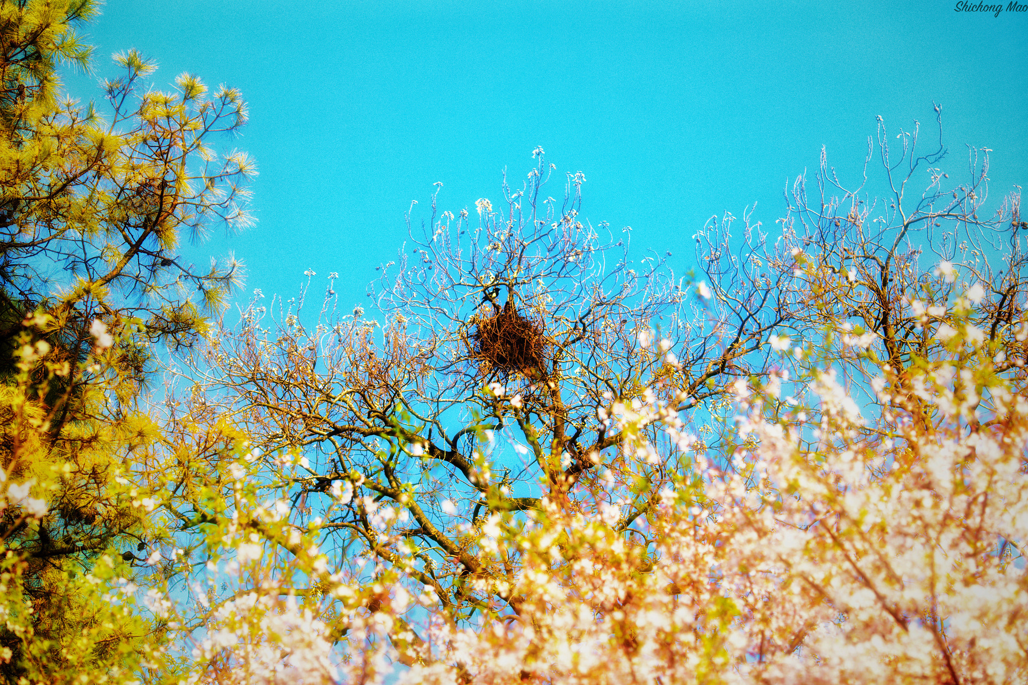 Canon EOS 6D + Canon EF 135mm F2L USM sample photo