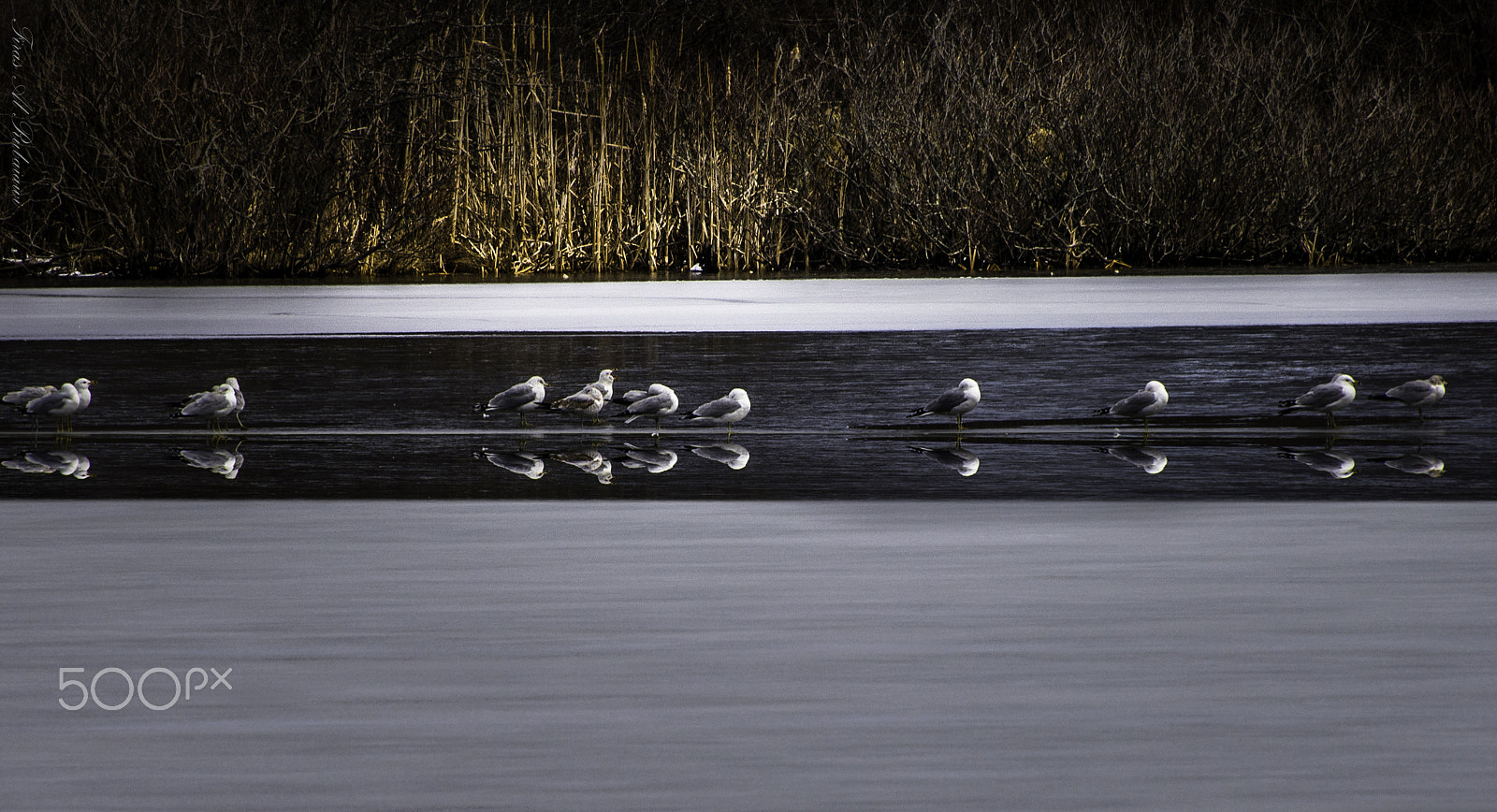 Nikon D610 sample photo. Icy lake photography