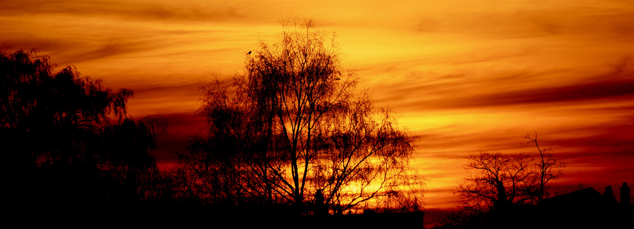 Sony DT 18-250mm F3.5-6.3 sample photo. Illuminate photography