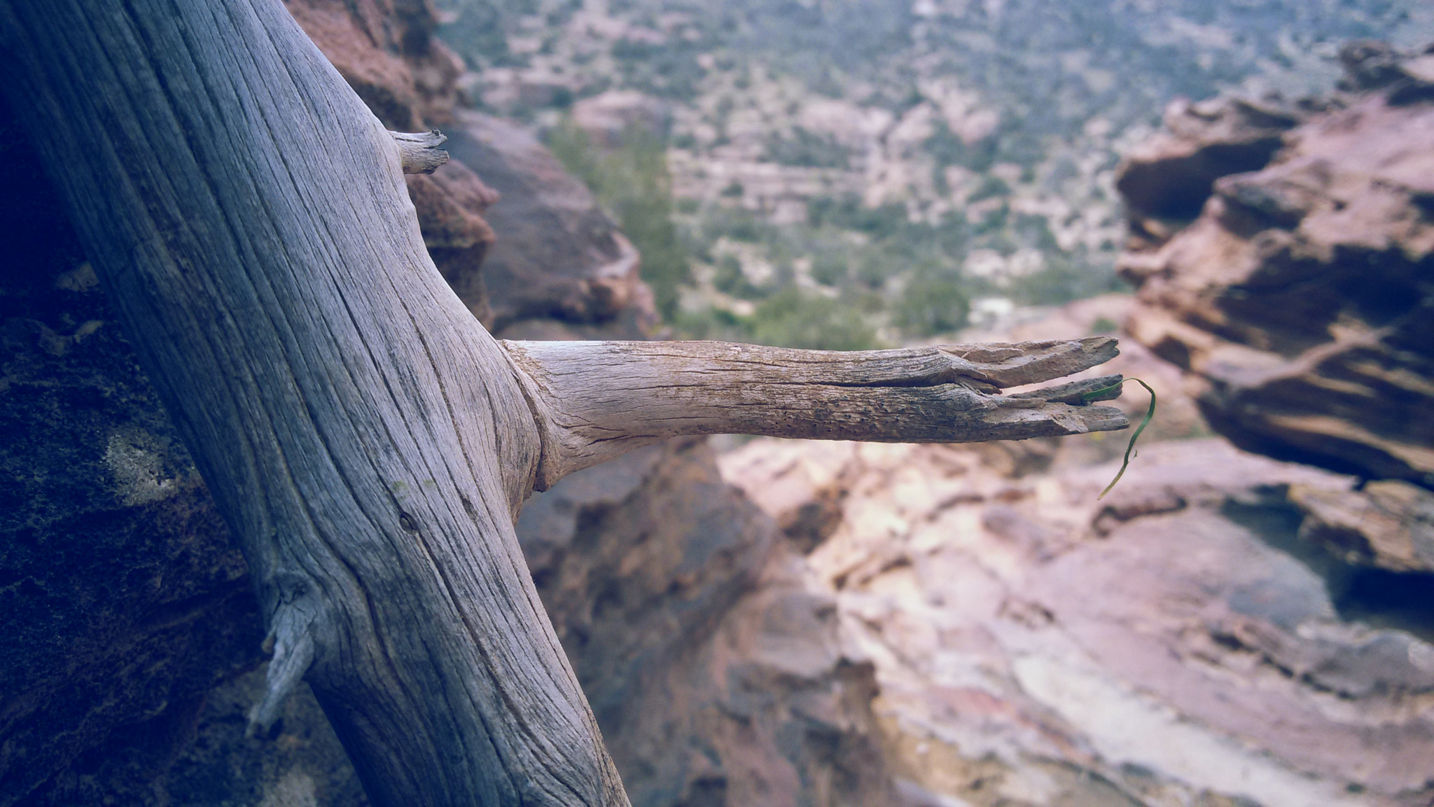 Samsung Galaxy S3 Neo sample photo