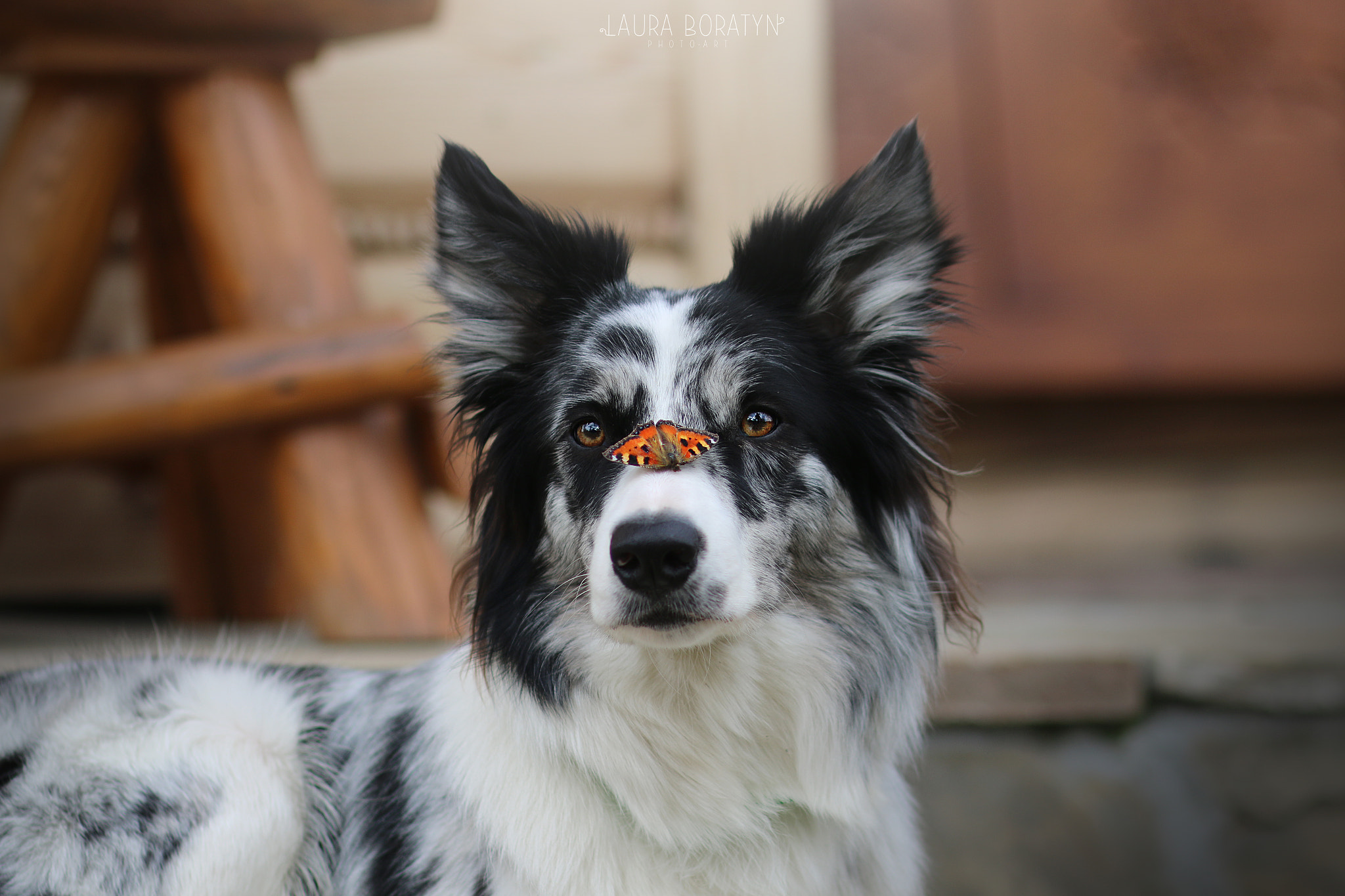 Canon EOS 70D + Canon EF 85mm F1.8 USM sample photo. Soya's new friend photography