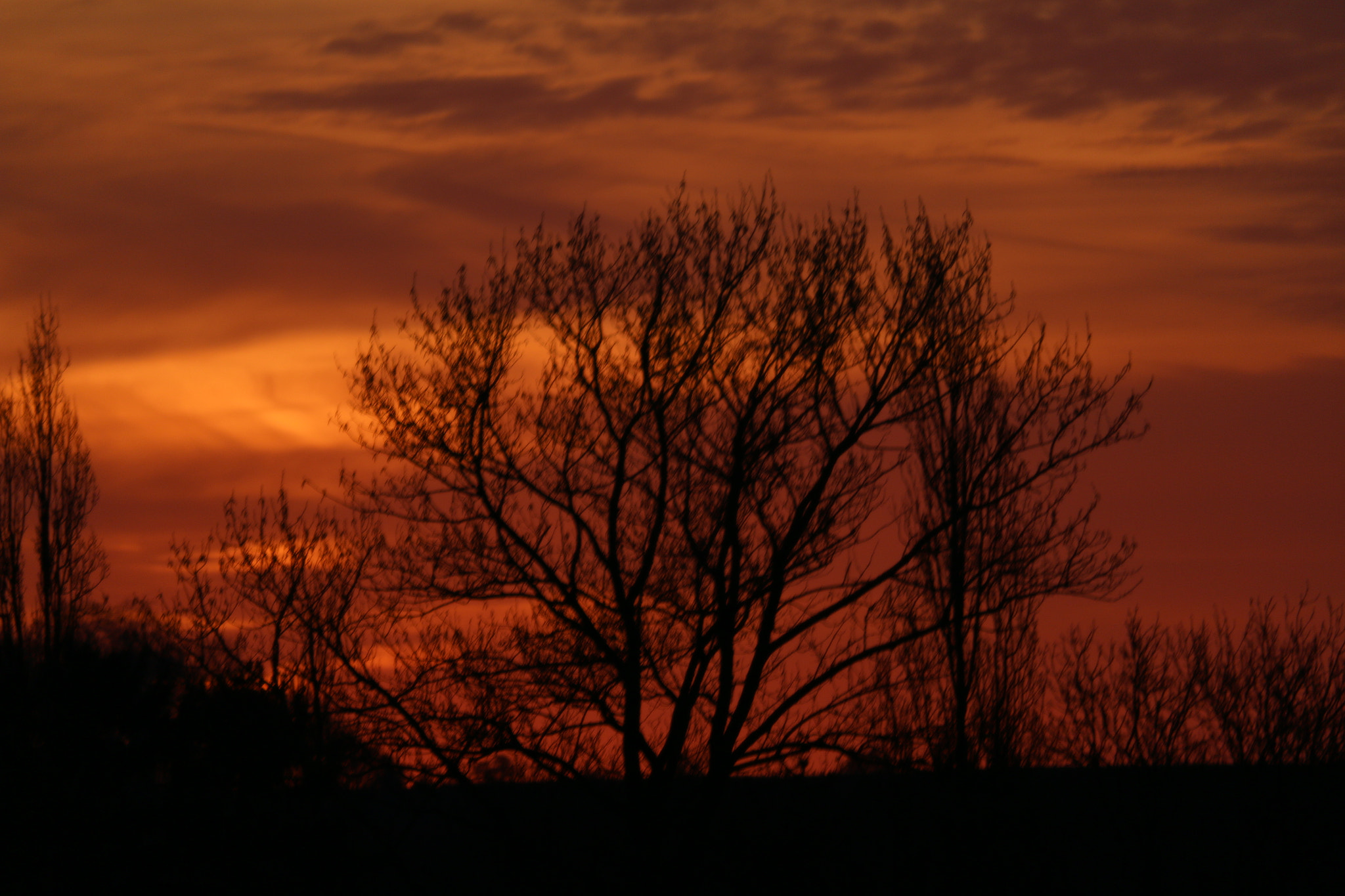 Canon EF-S 55-250mm F4-5.6 IS STM sample photo