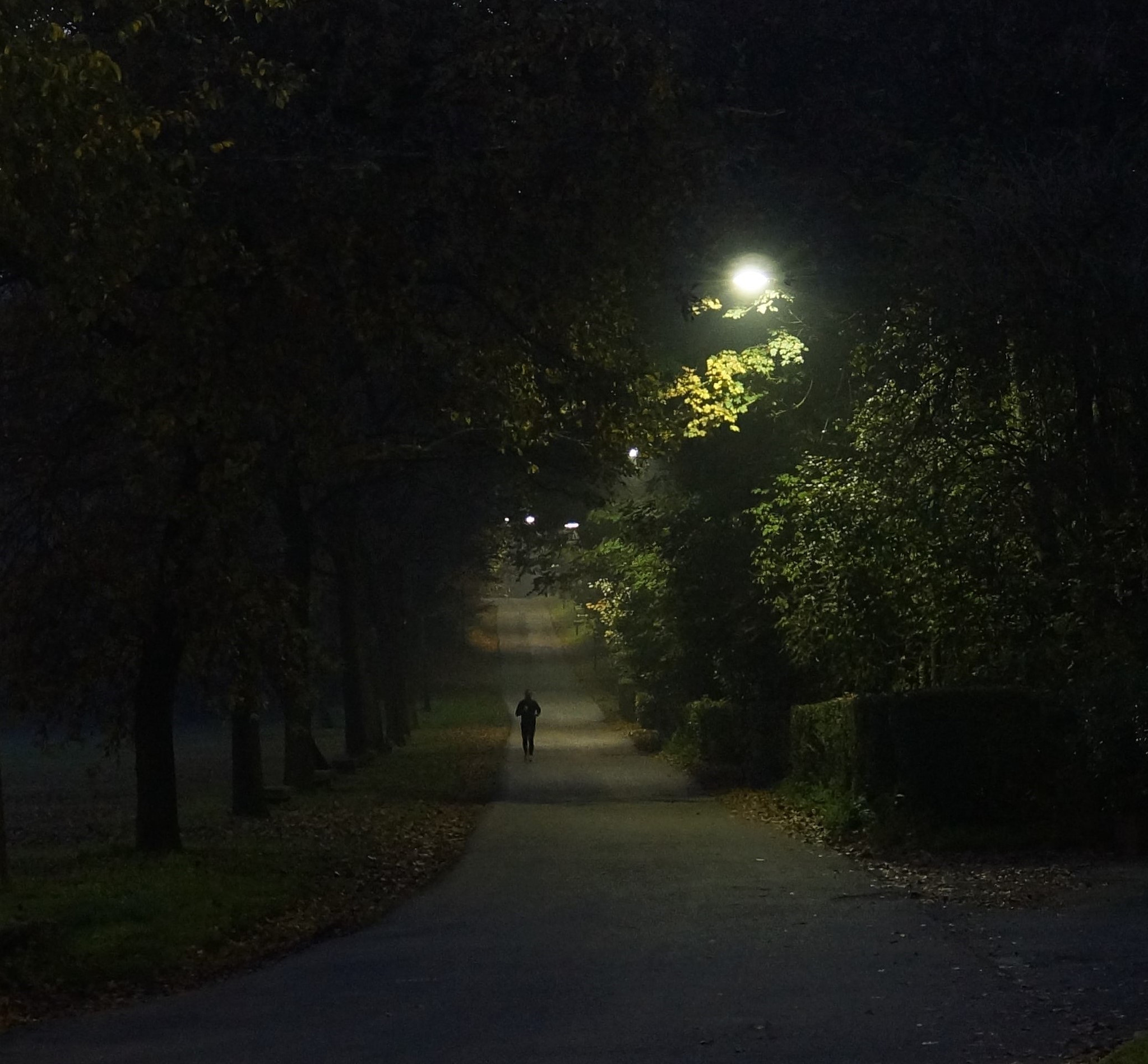 Sony SLT-A77 + Sony DT 16-50mm F2.8 SSM sample photo. Alone with the street photography