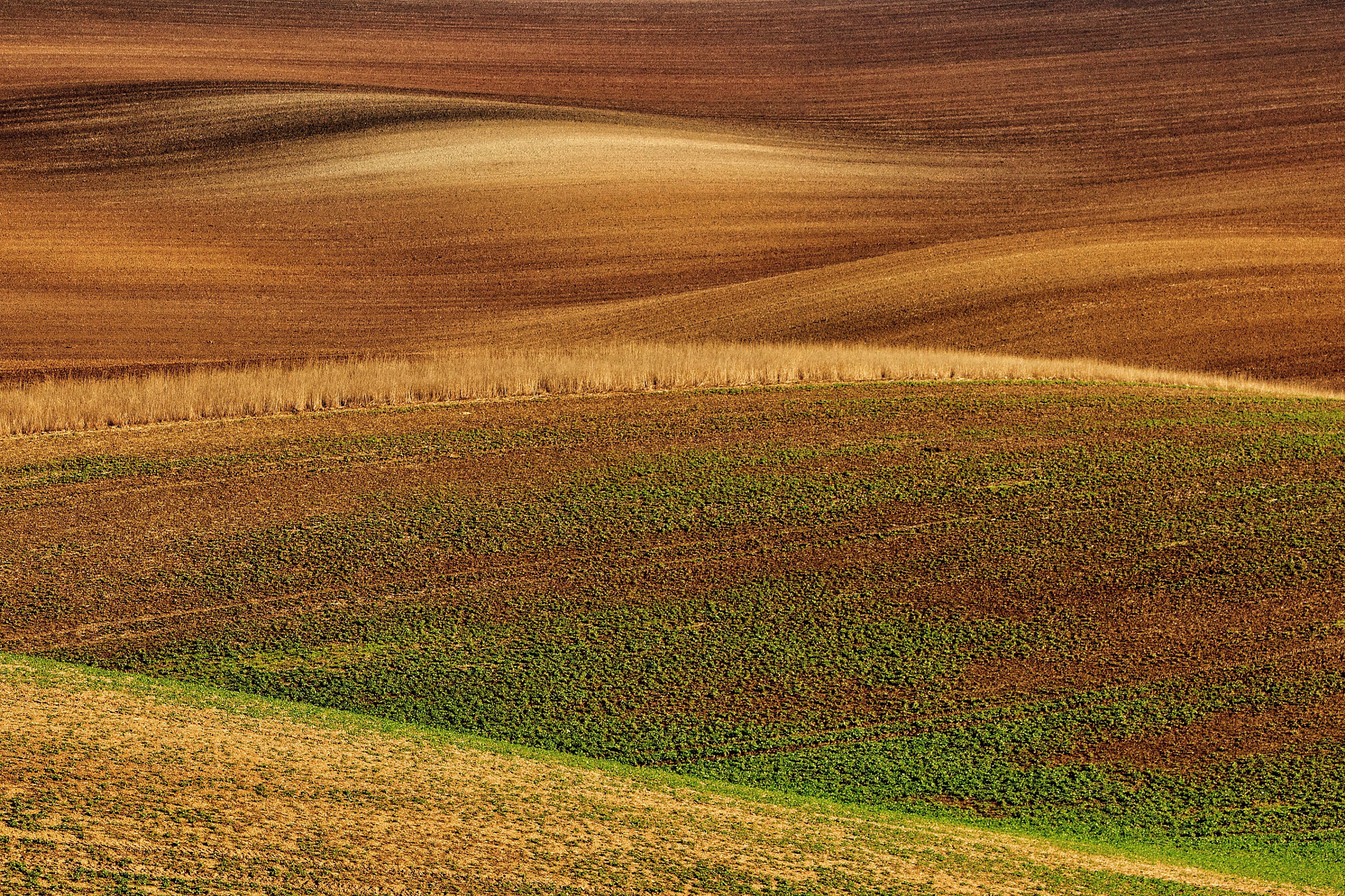 Canon EF 70-300mm F4-5.6 IS USM sample photo. Today moravian landscape tuscany photography