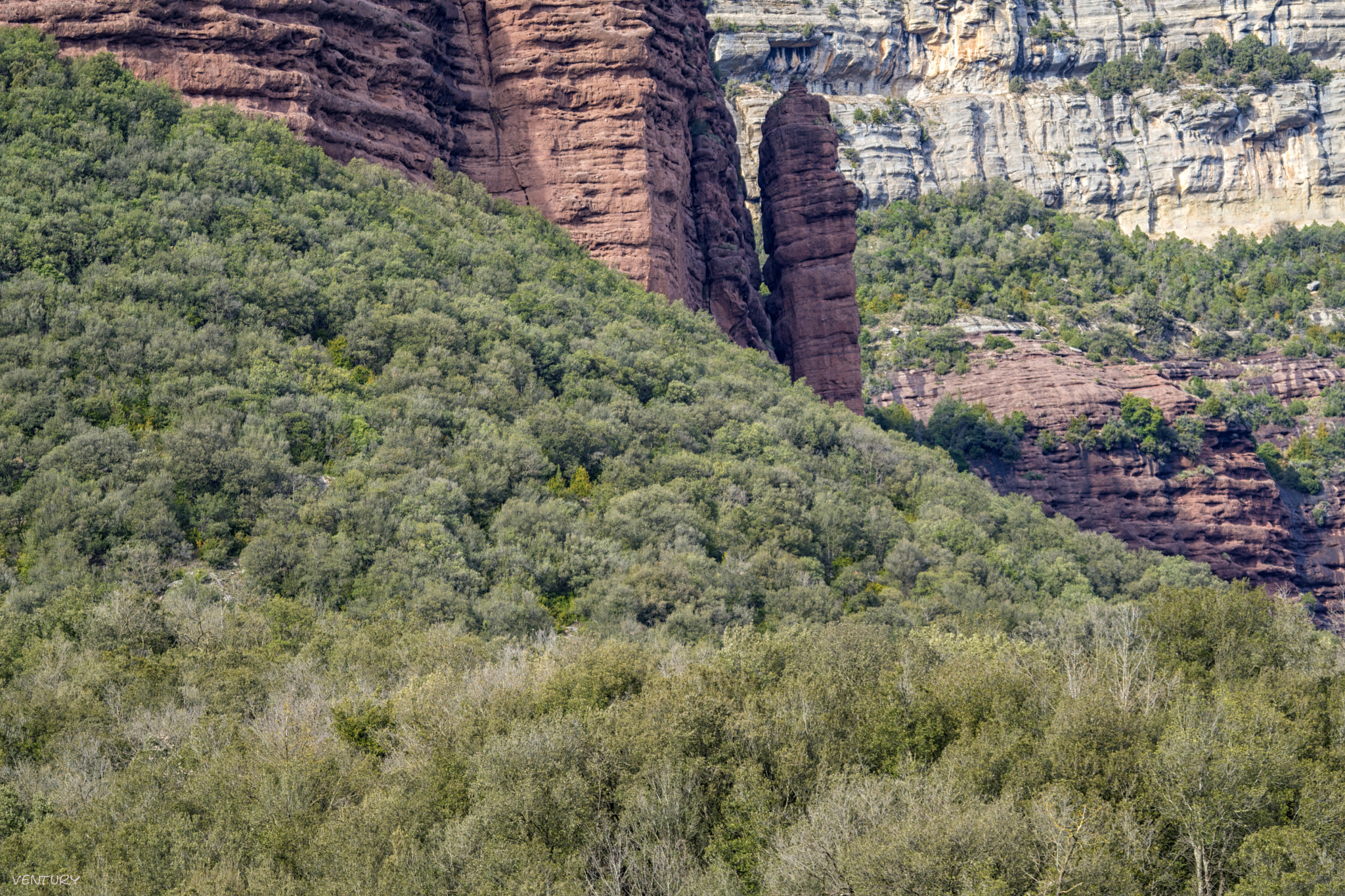 Sony FE 70-300mm F4.5-5.6 G OSS sample photo. Millions of years ago photography