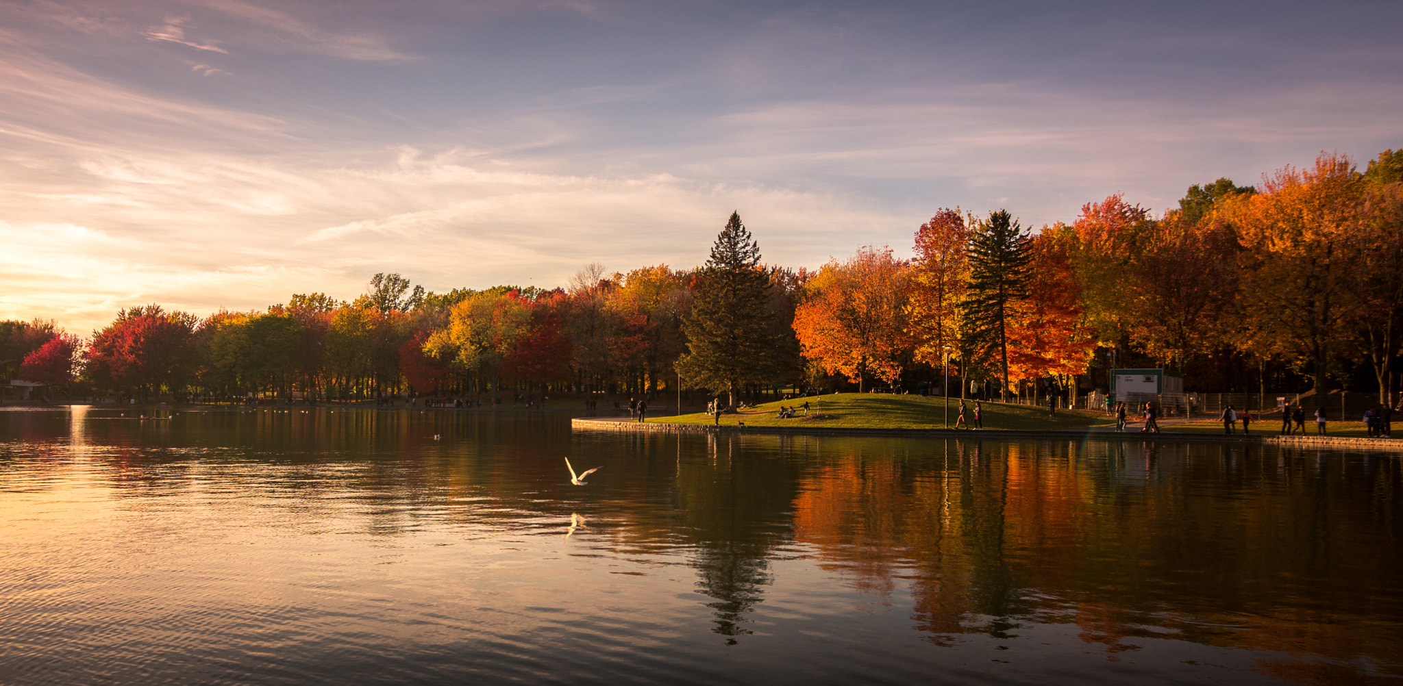 Nikon D7100 + Tokina AT-X Pro 11-16mm F2.8 DX sample photo. The colours of fall photography