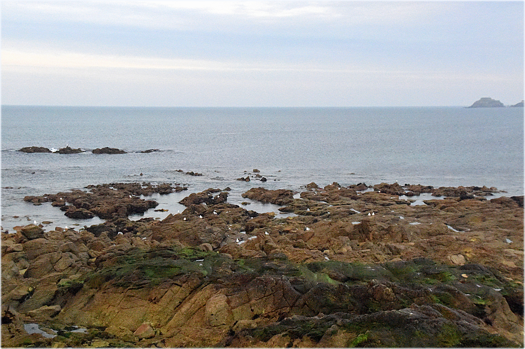 Nikon D810 sample photo. "cote:bretagne;&" photography