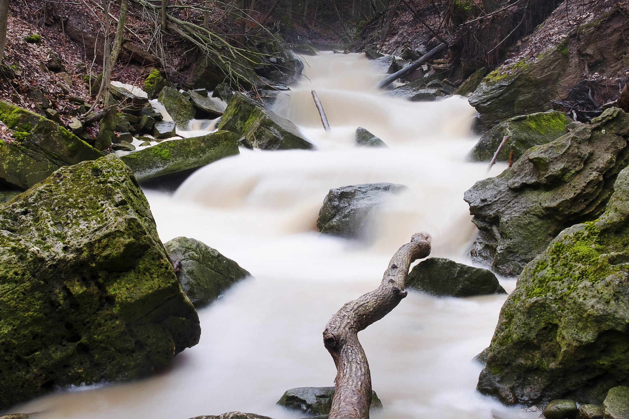 Fujifilm XF 18-55mm F2.8-4 R LM OIS sample photo. 40 creek photography