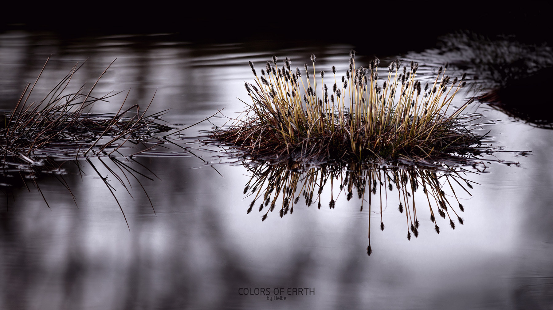 Canon EF 70-200mm F2.8L IS II USM sample photo. Black silk photography