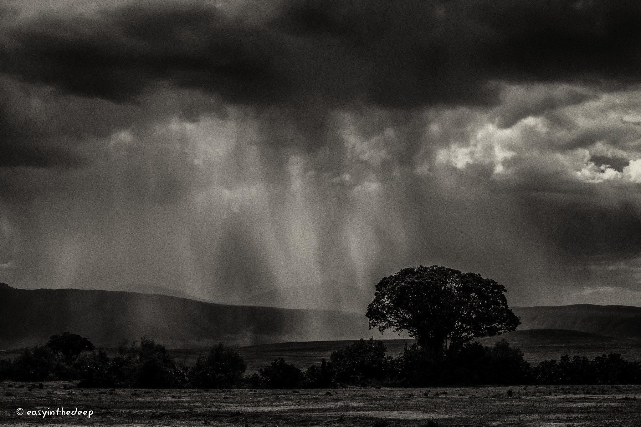 Nikon D750 sample photo. Moody ngorongoro thunderstorm. photography