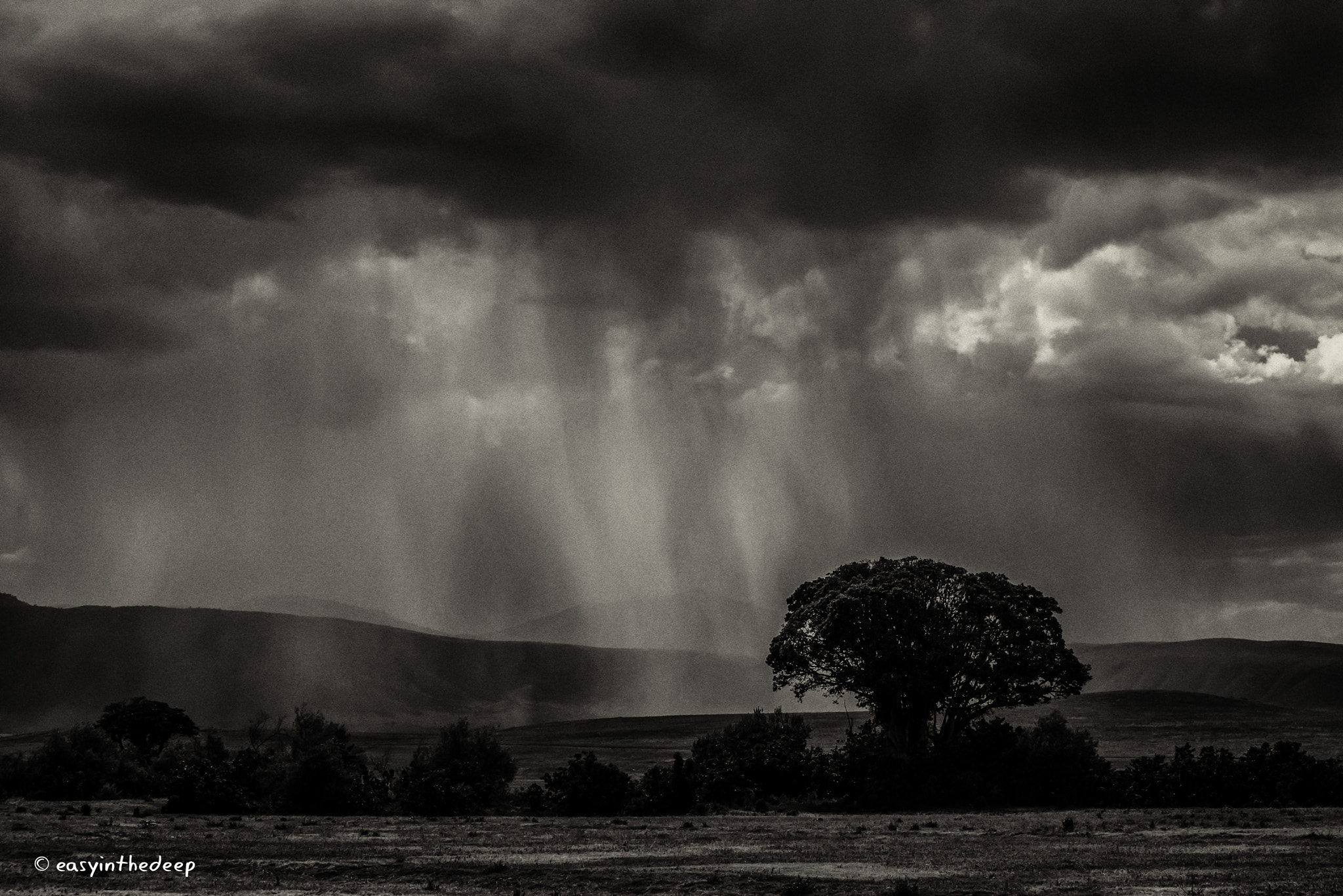 Nikon AF-S Nikkor 70-200mm F4G ED VR sample photo. Moody ngorongoro thunderstorm. photography