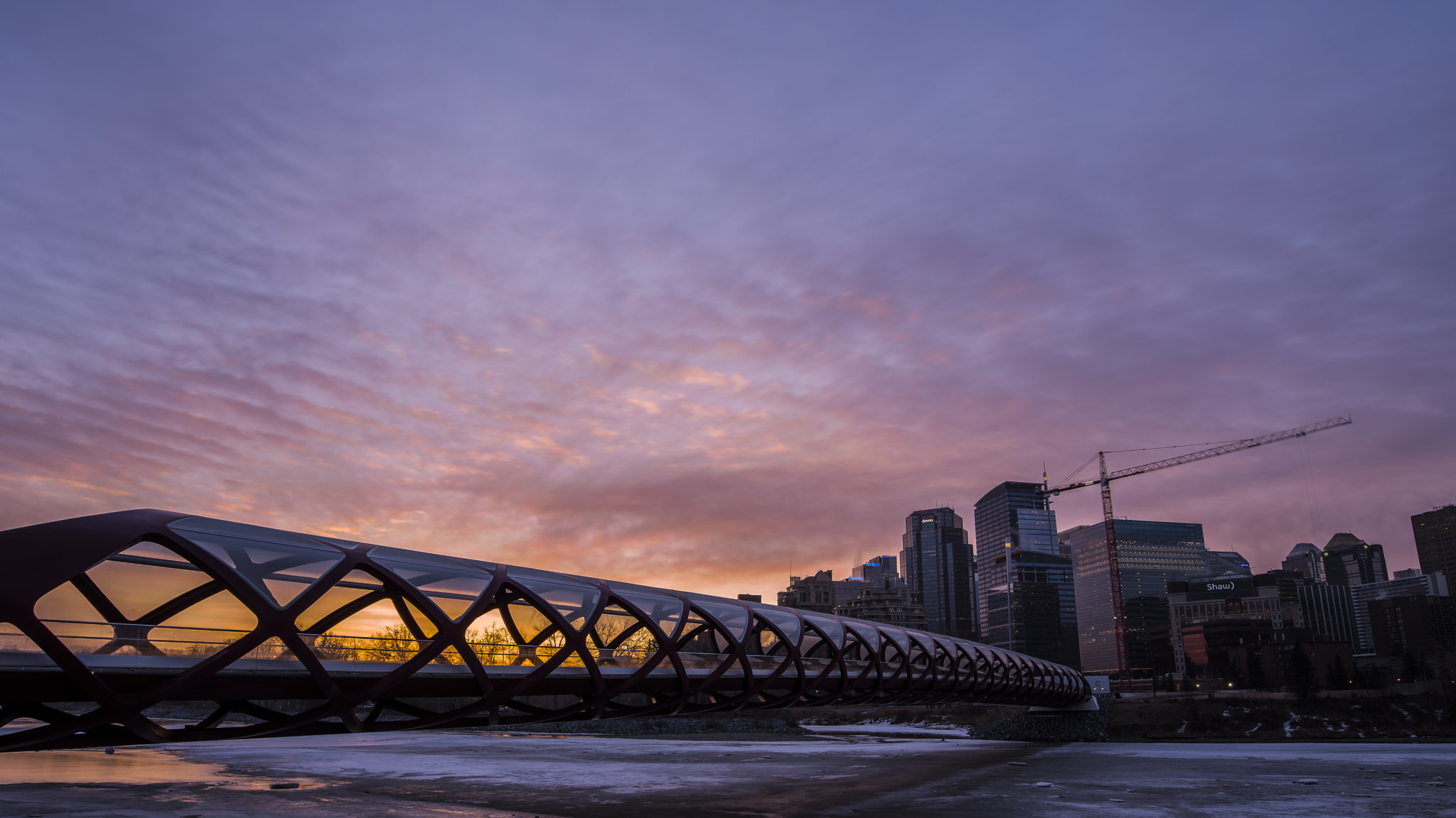 Nikon D810 + Nikon AF-S Nikkor 18-35mm F3.5-4.5G ED sample photo. Morning at the peace bridge photography