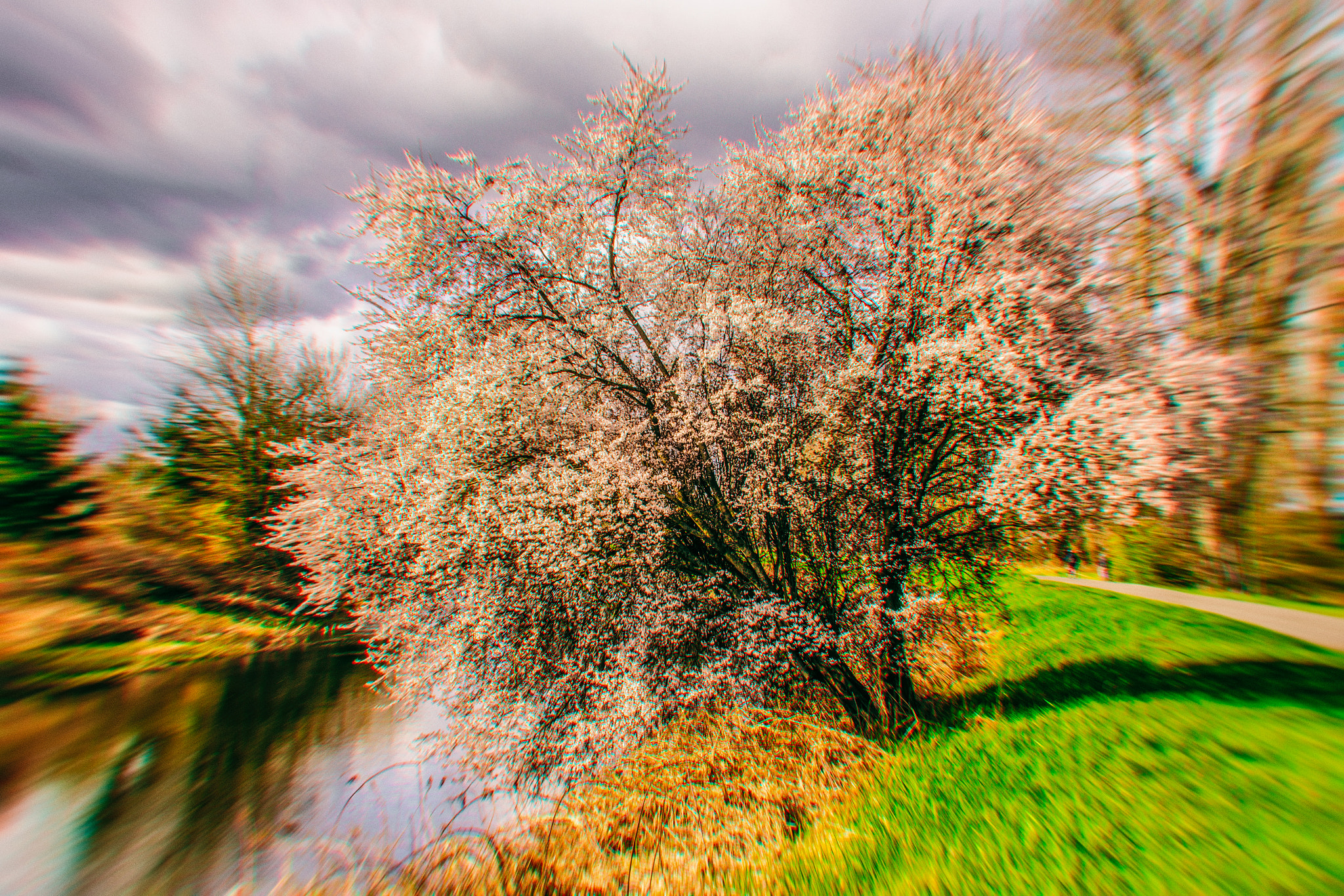 Sony SLT-A65 (SLT-A65V) + Sony 28mm F2.8 sample photo. Sammamish river trail photography