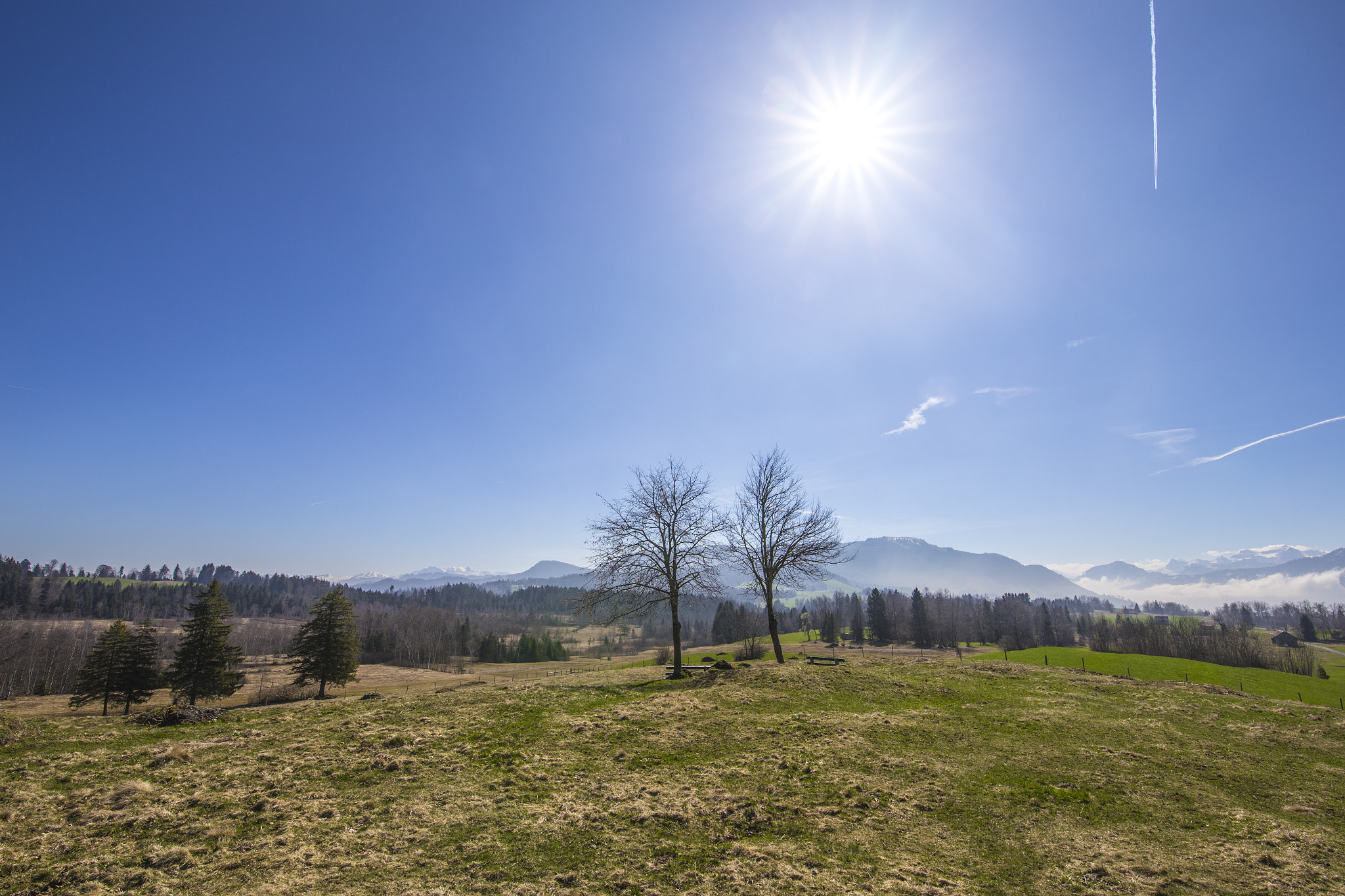 Canon EOS 6D + Canon EF 300mm f/2.8L sample photo. Zugerberg photography