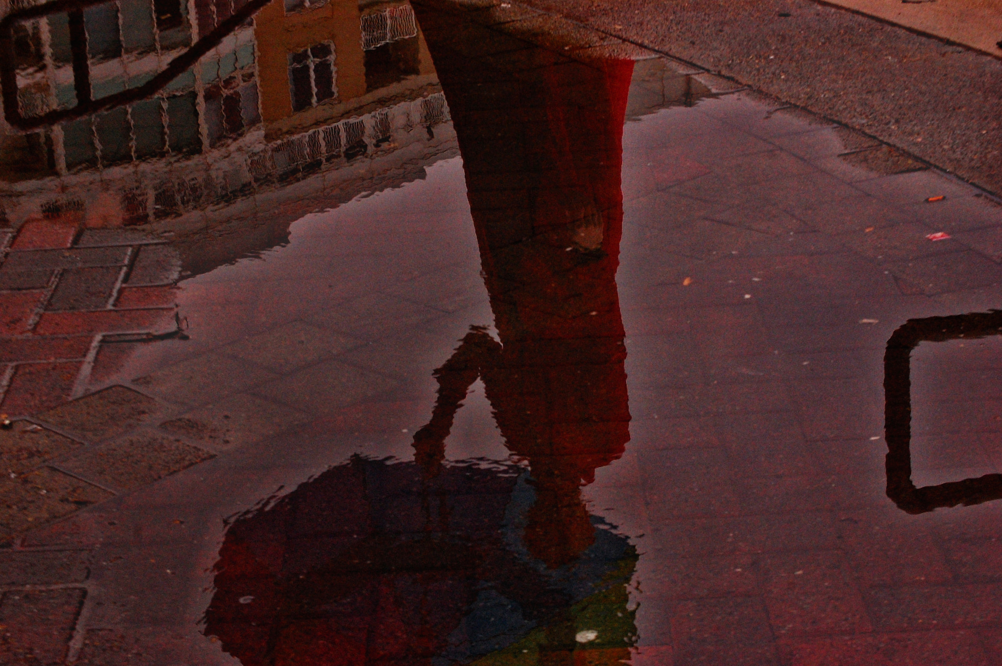 Nikon D40 sample photo. Reflection photography