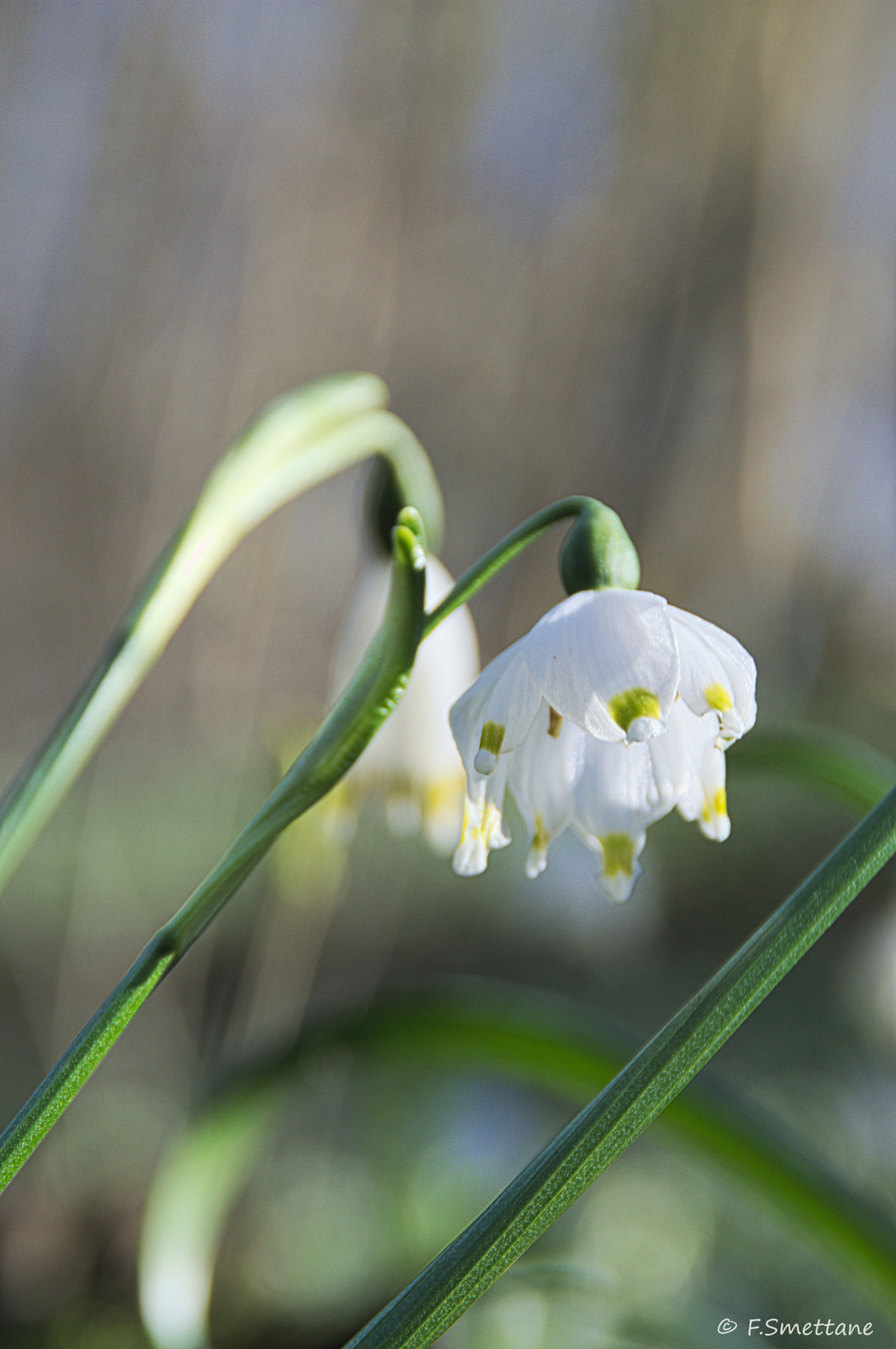 Nikon D3200 sample photo. Märzenbecher photography