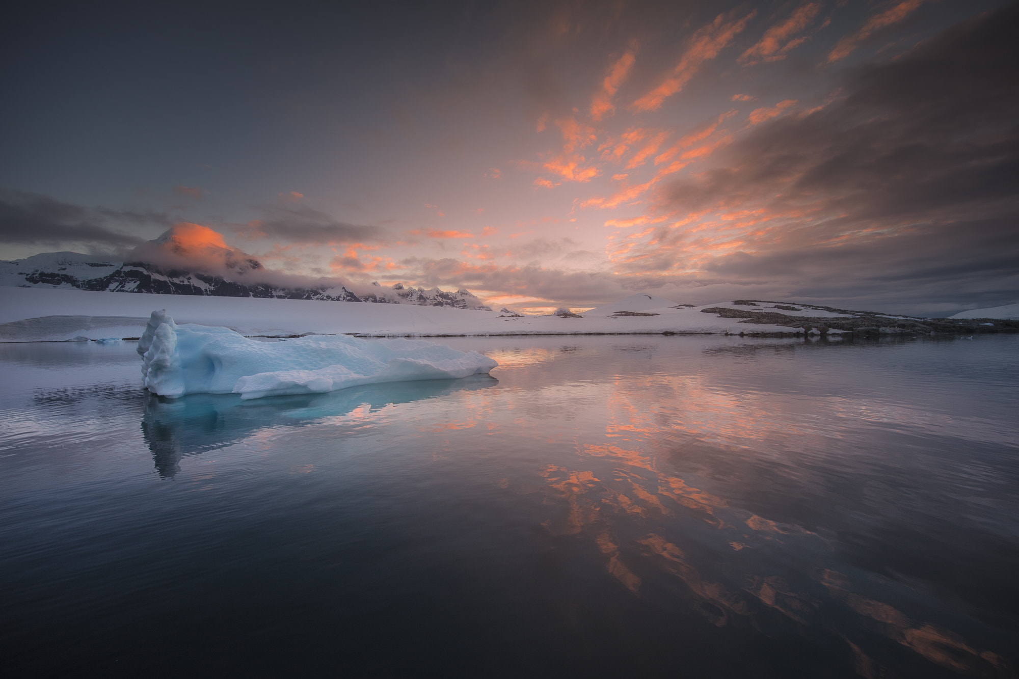 Canon EOS 5DS + Canon EF 11-24mm F4L USM sample photo. Dorian bay, wienke island - 4063 photography