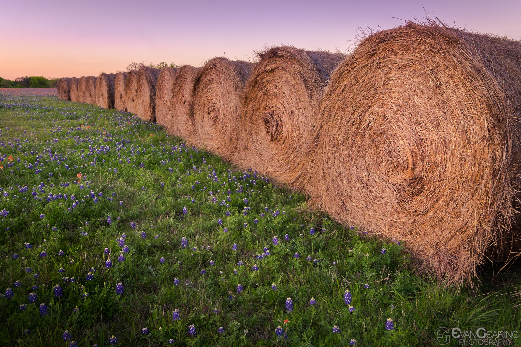 Fujifilm XF 10-24mm F4 R OIS sample photo. Hay-bales in bluebonnets photography