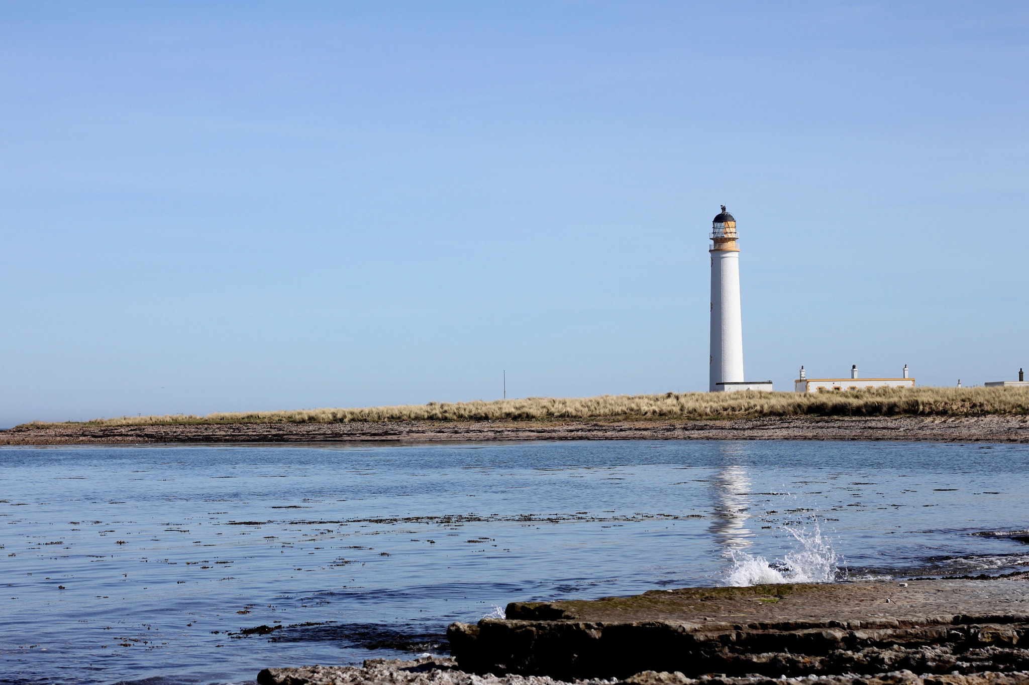 Canon EOS 500D (EOS Rebel T1i / EOS Kiss X3) + Canon EF 50mm F1.8 STM sample photo. Barns ness lighthouse photography