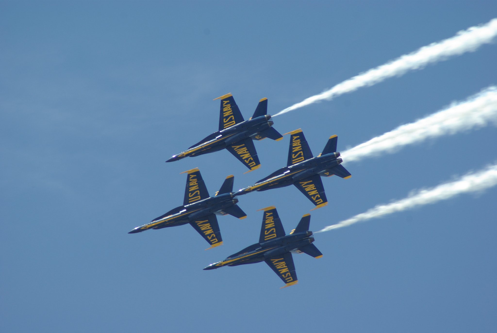 Pentax K10D sample photo. Wings over the golden isles photography
