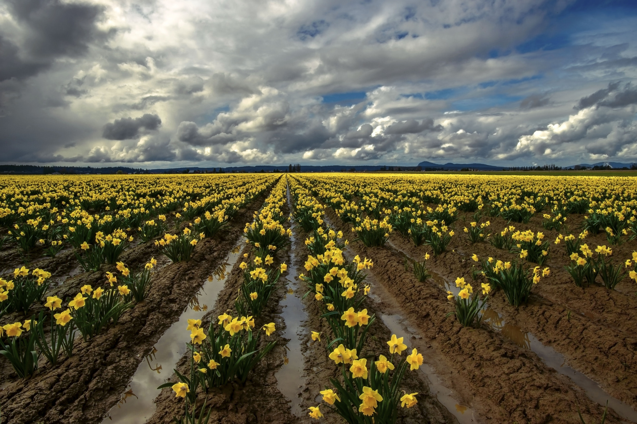 Nikon AF-S Nikkor 17-35mm F2.8D ED-IF sample photo. Rain is coming soon photography