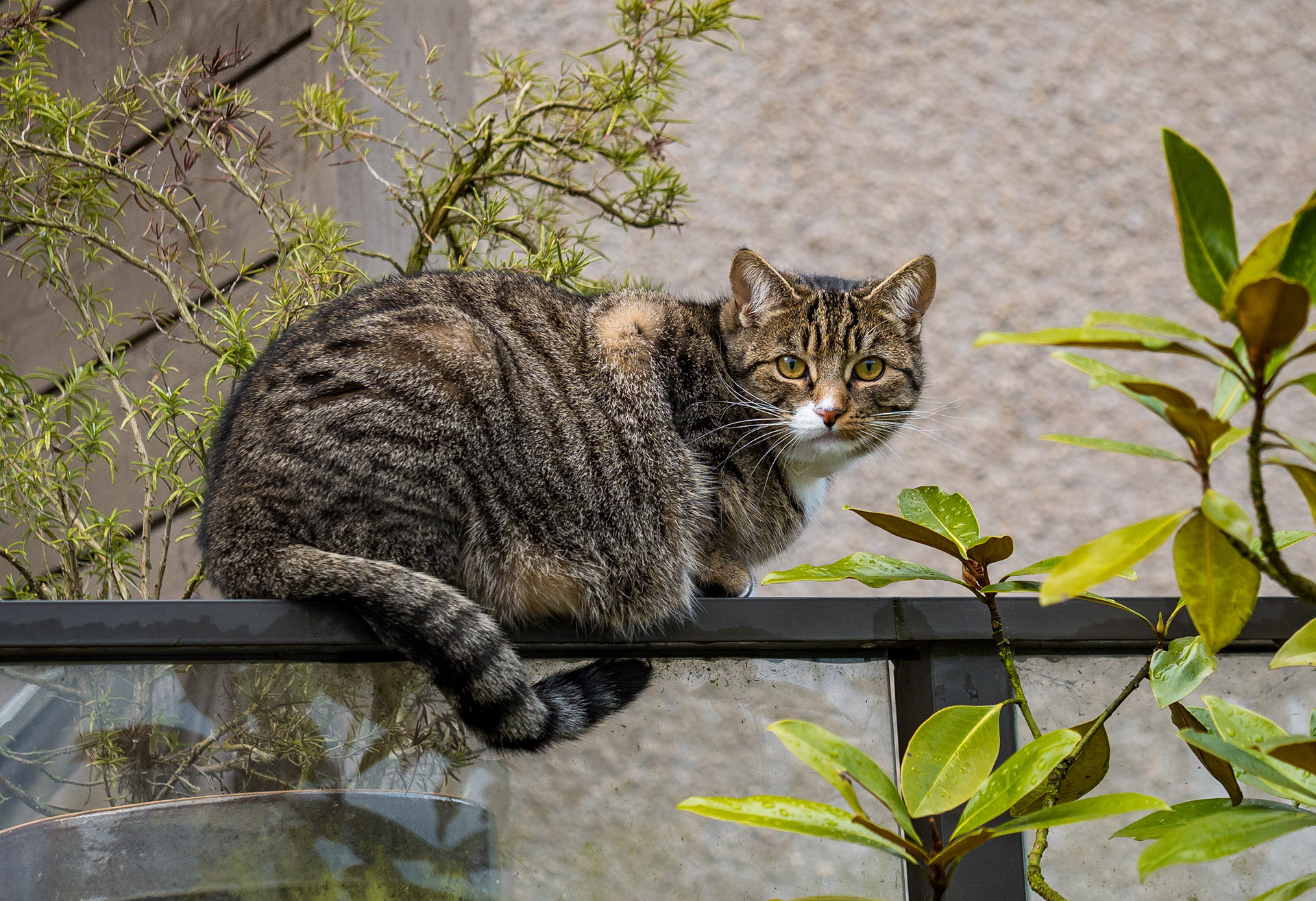 Panasonic Lumix DMC-G85 (Lumix DMC-G80) sample photo. Problem? photography