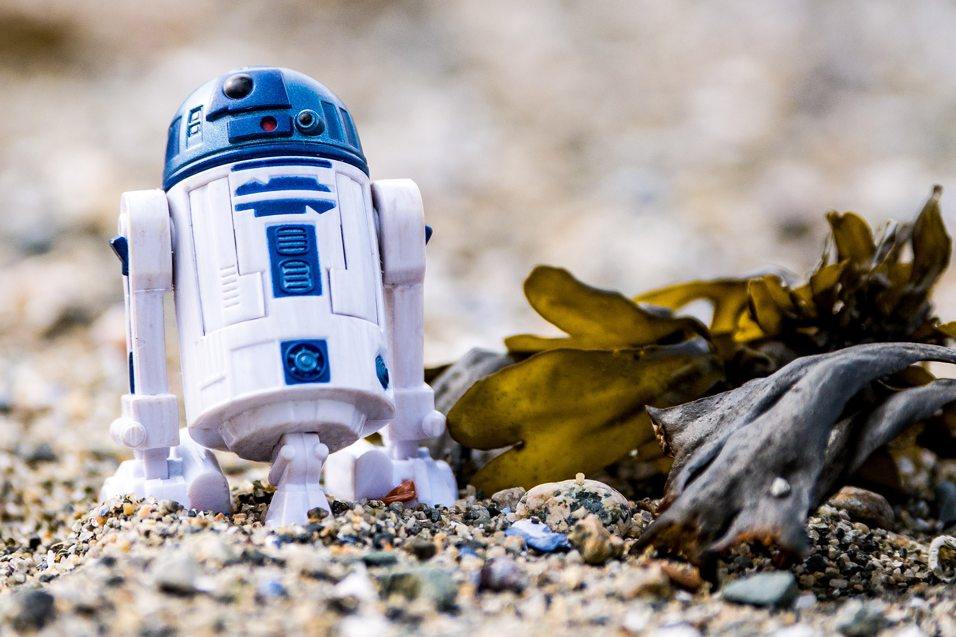 Panasonic Lumix DMC-G85 (Lumix DMC-G80) sample photo. R2d2 by the sea photography