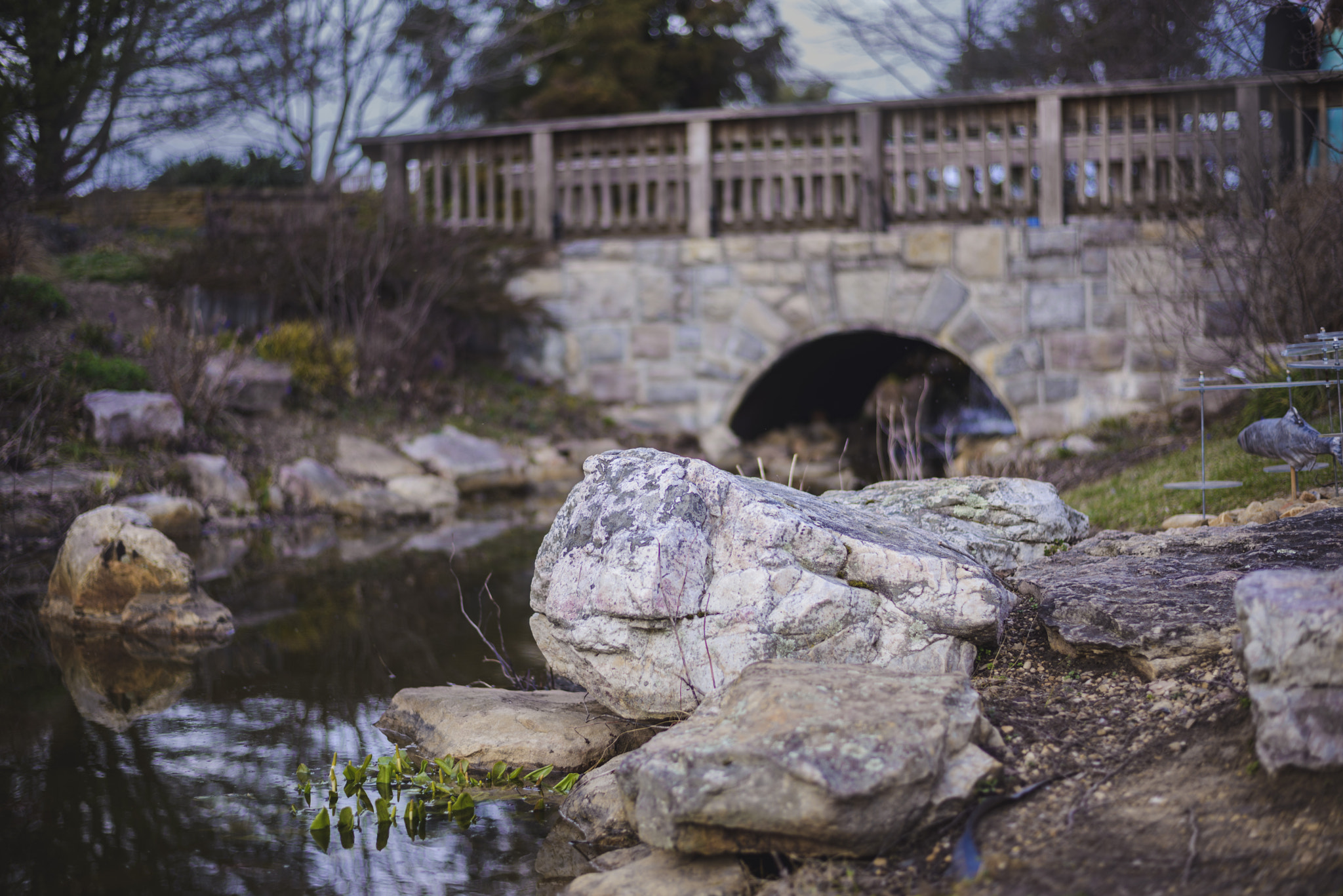 Nikon D600 + Nikon AF-S Nikkor 50mm F1.8G sample photo. Hahn horticulture garden: rock steady photography