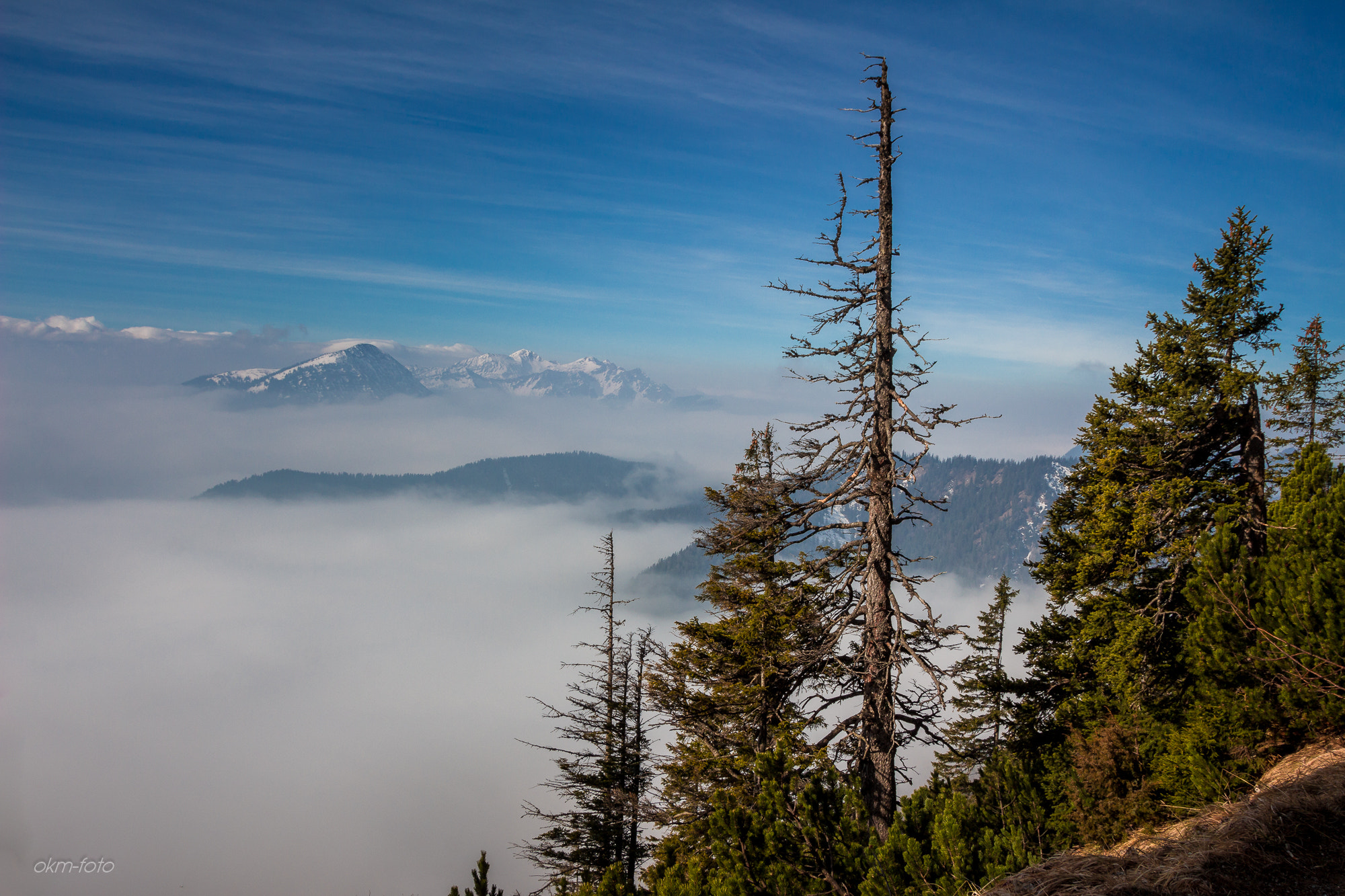 Sigma 18-250mm F3.5-6.3 DC OS HSM sample photo. Alpen photography