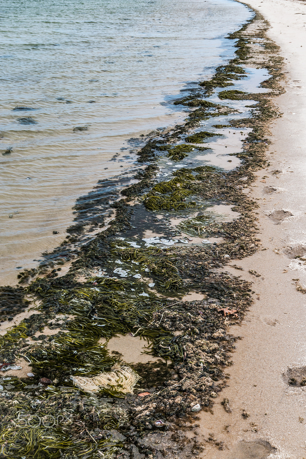 Canon EF 16-35mm F4L IS USM sample photo. Along the water's edge photography