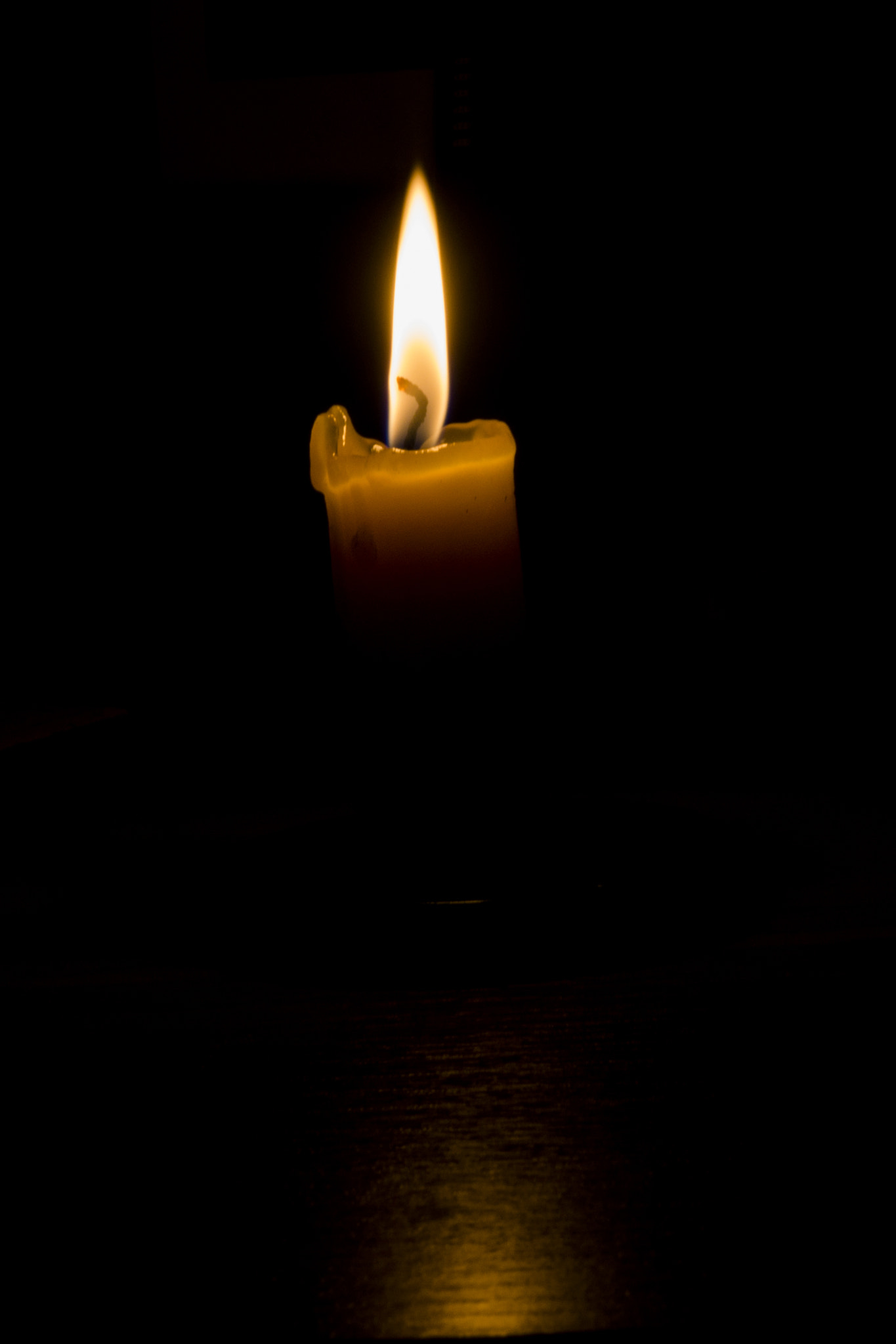 Sony SLT-A65 (SLT-A65V) + Sony 50mm F1.4 sample photo